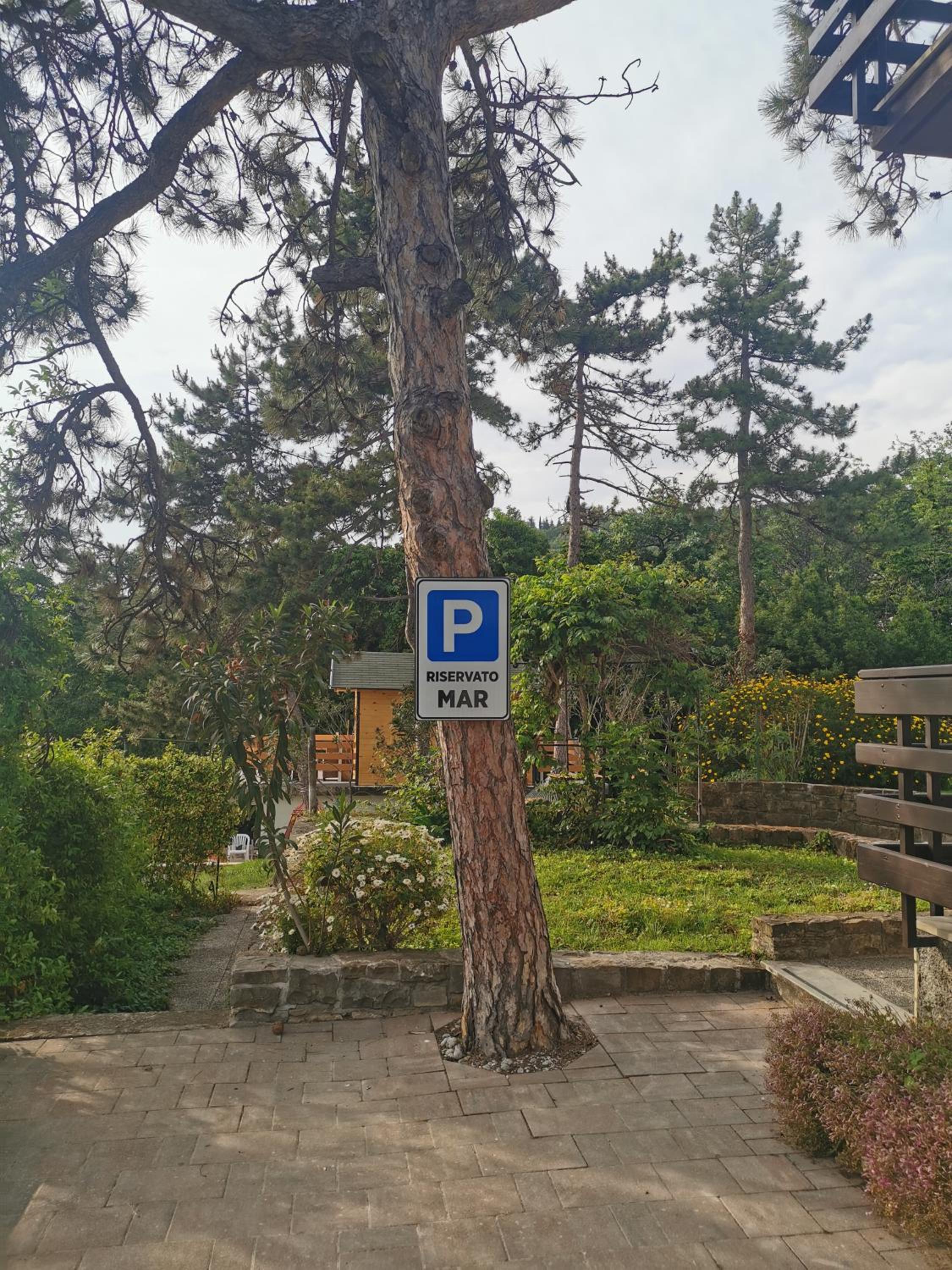 Active Chillax Oasis Apartments