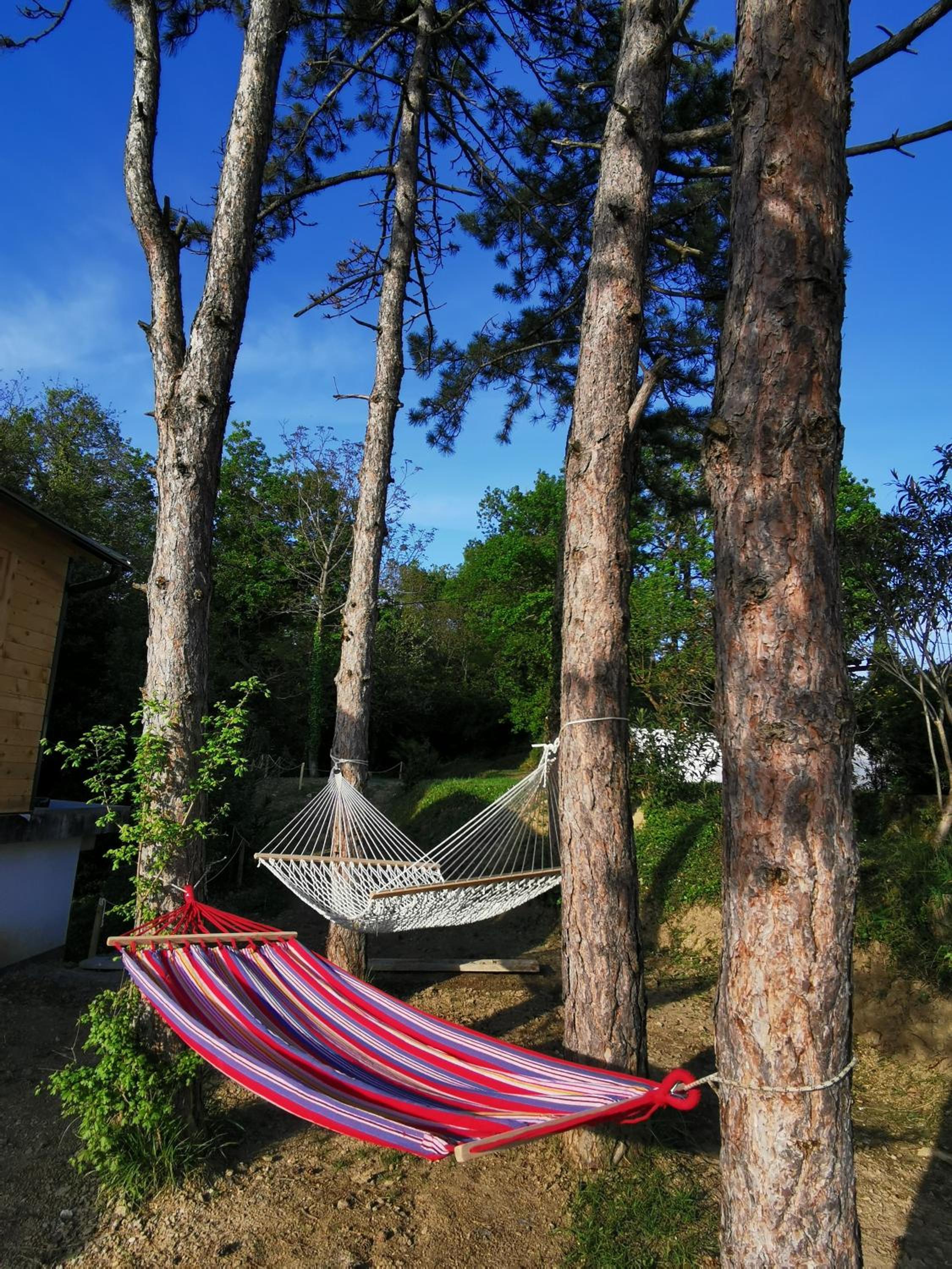 Active Chillax Oasis Apartments