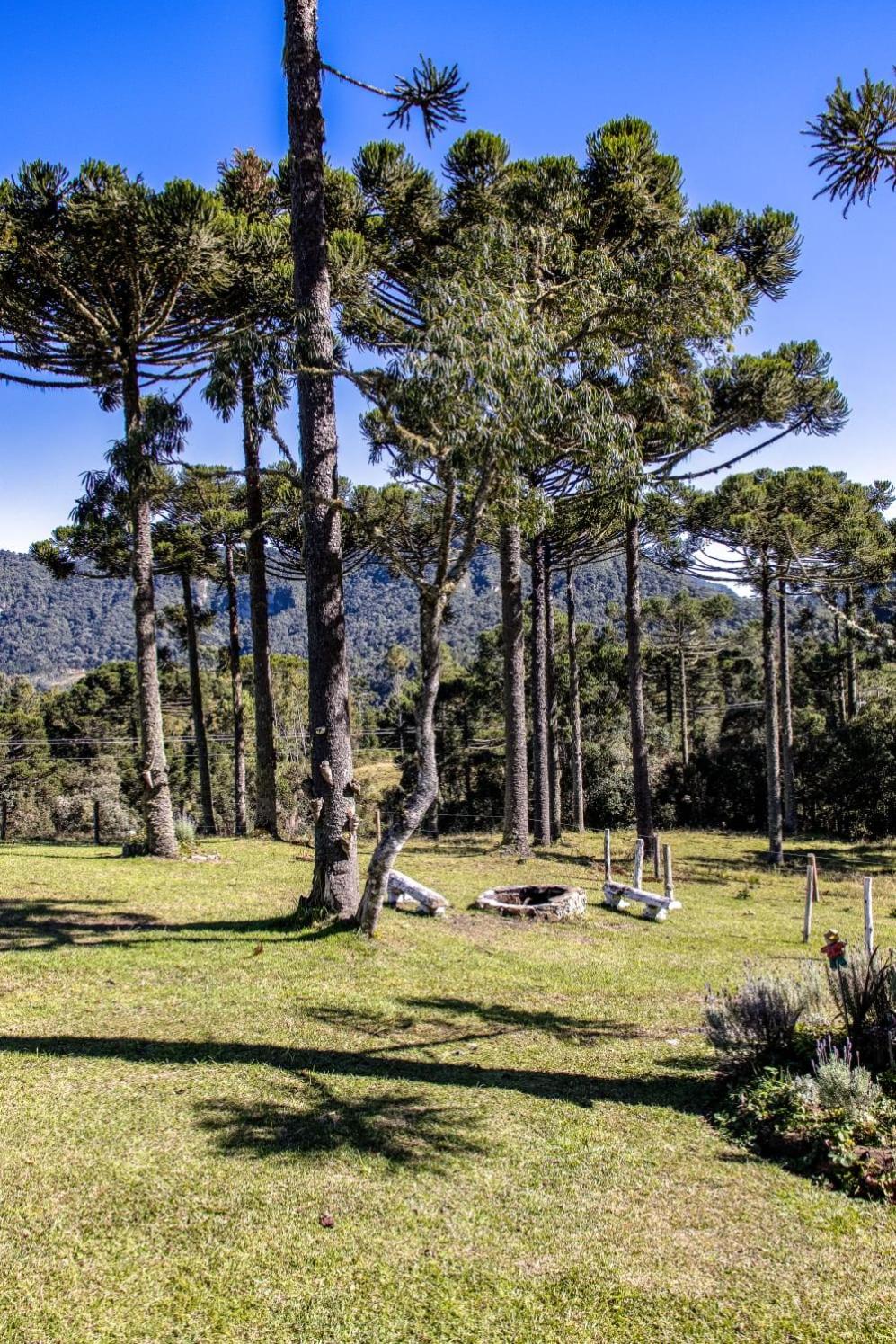 Hotel e Pousada Montanha Real