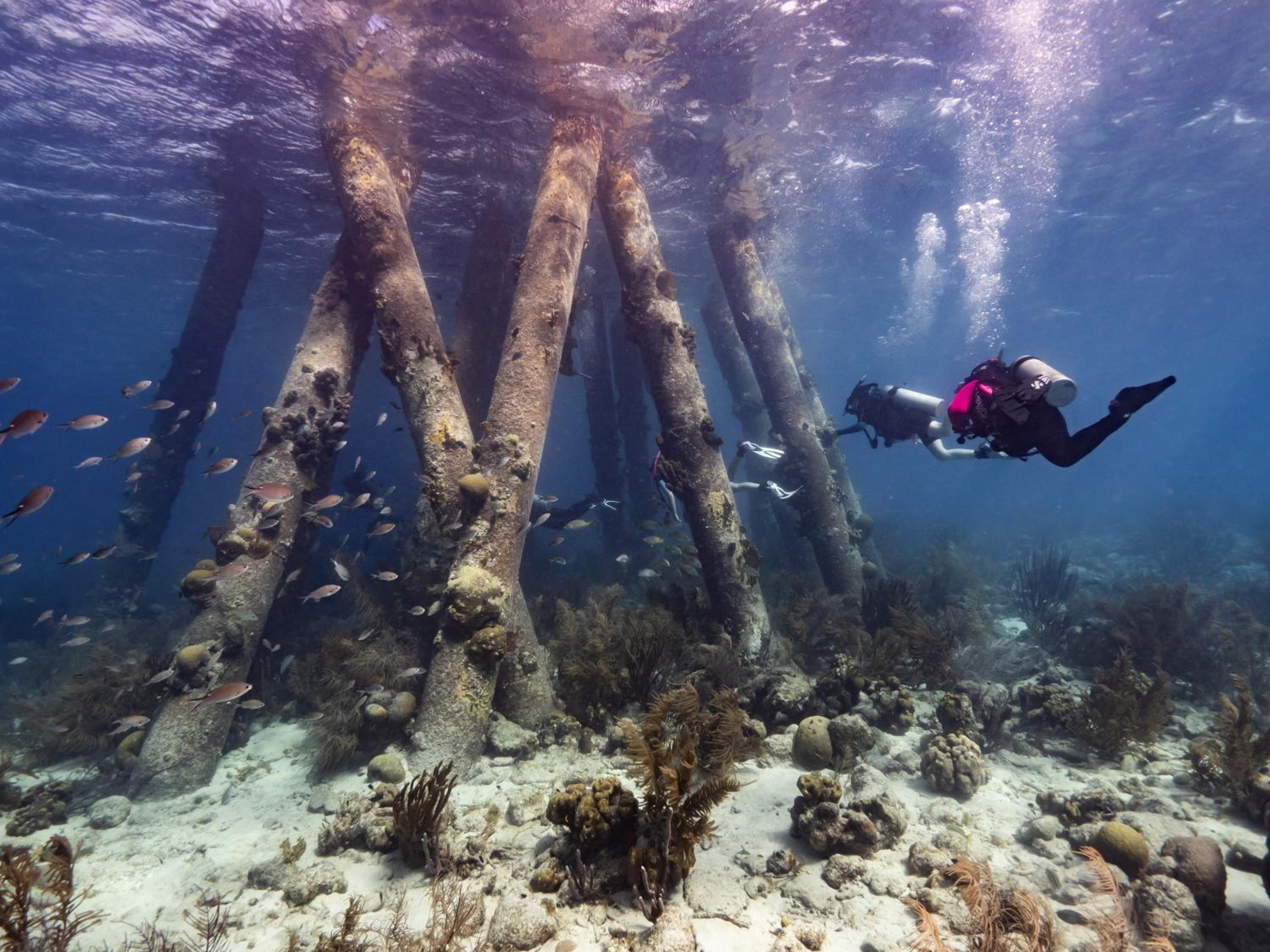 Grand Windsock Bonaire - Photo 200