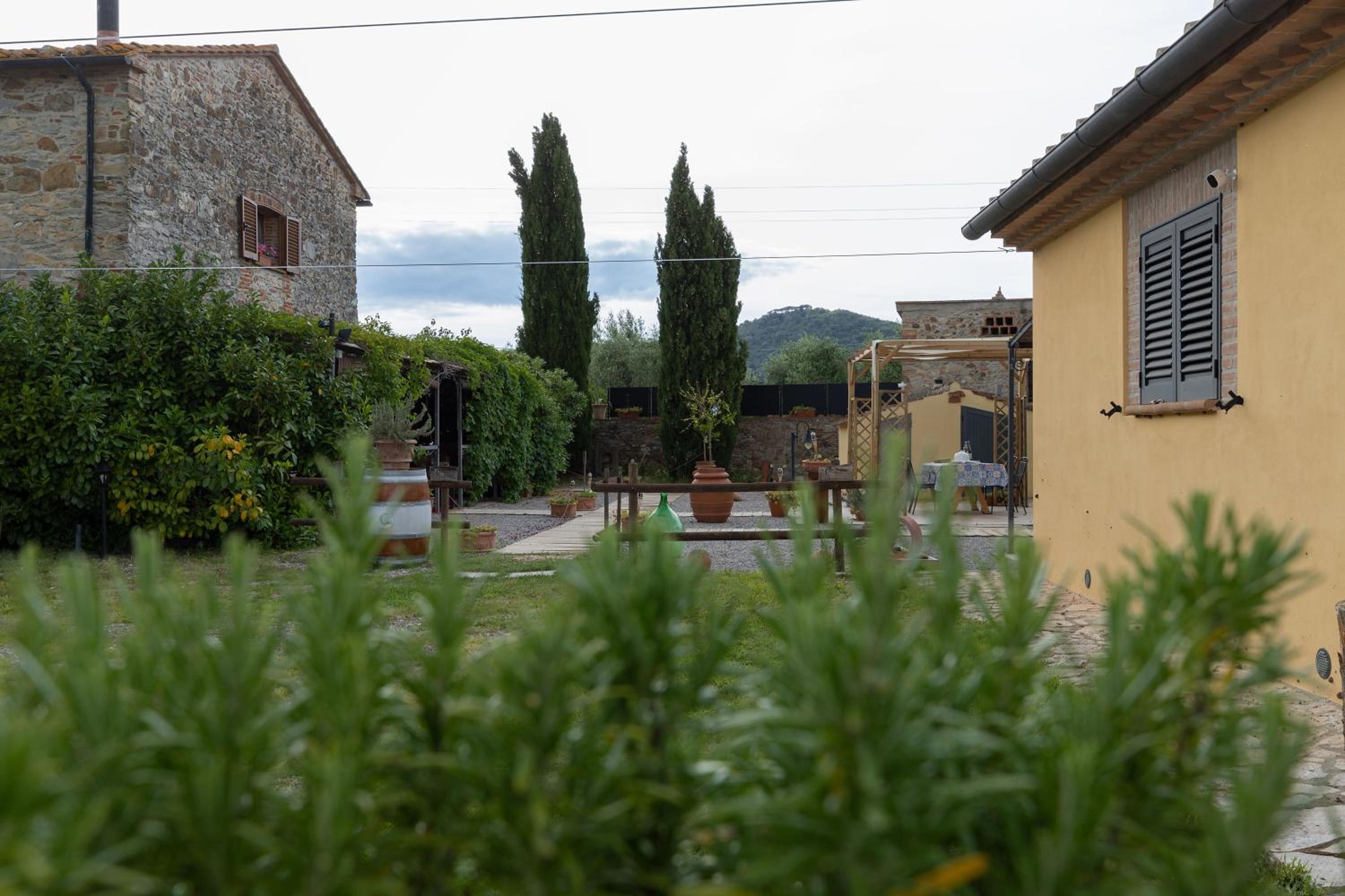 Casale Rosmarino