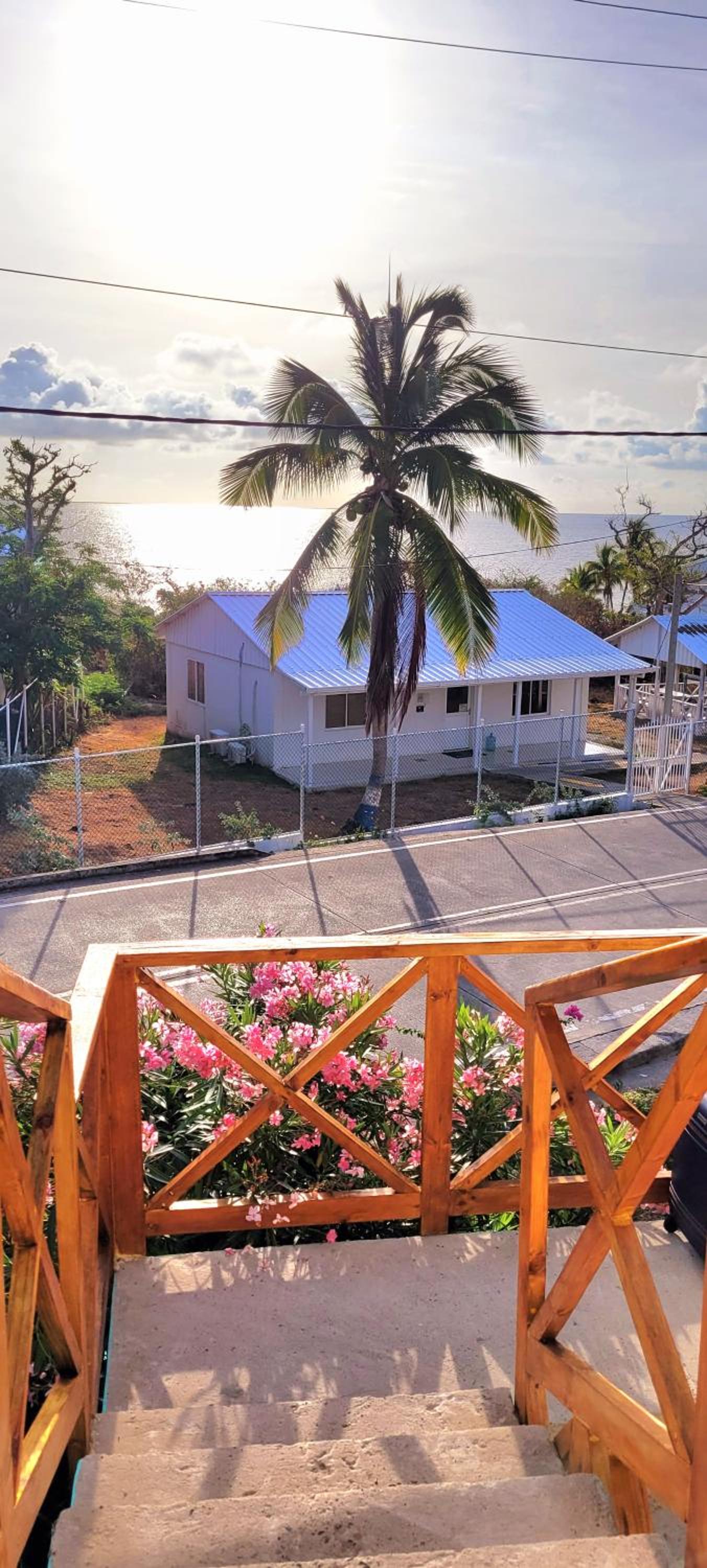 Colorful Garden House