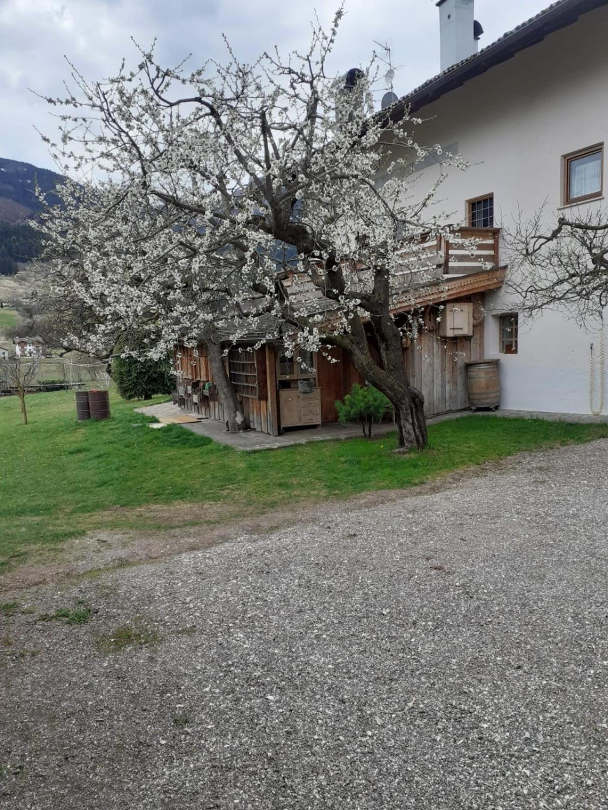 Photo 52