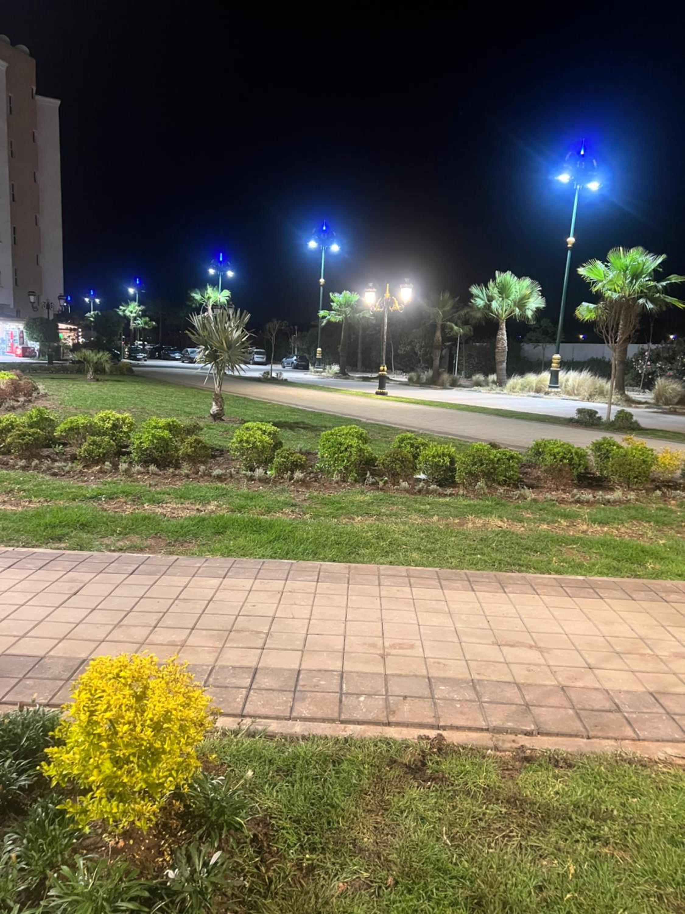 TAJ NOUACEUR AéROPORT MOHAMMED V