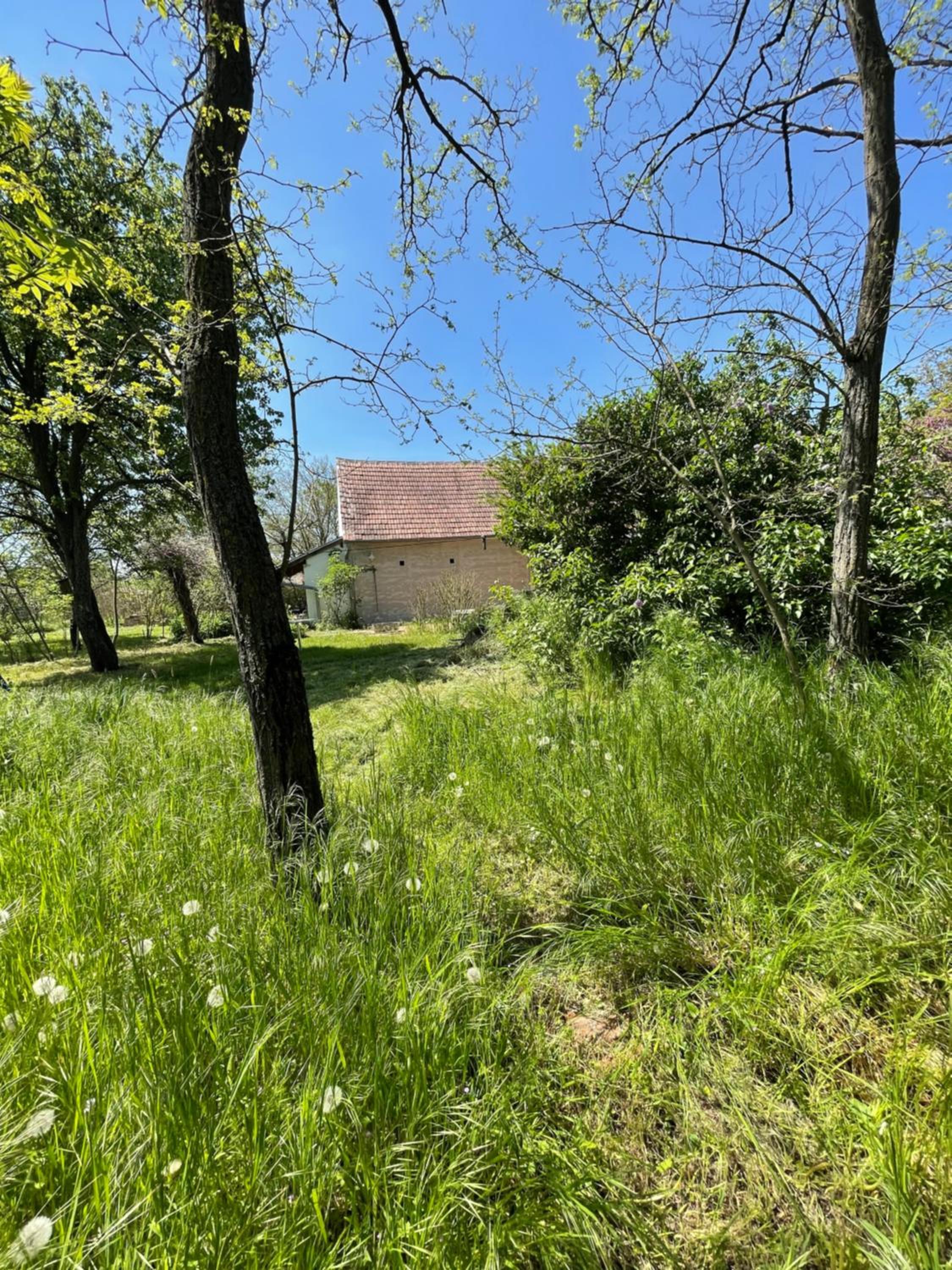 Charmantes Arkadenhaus mit großem Garten