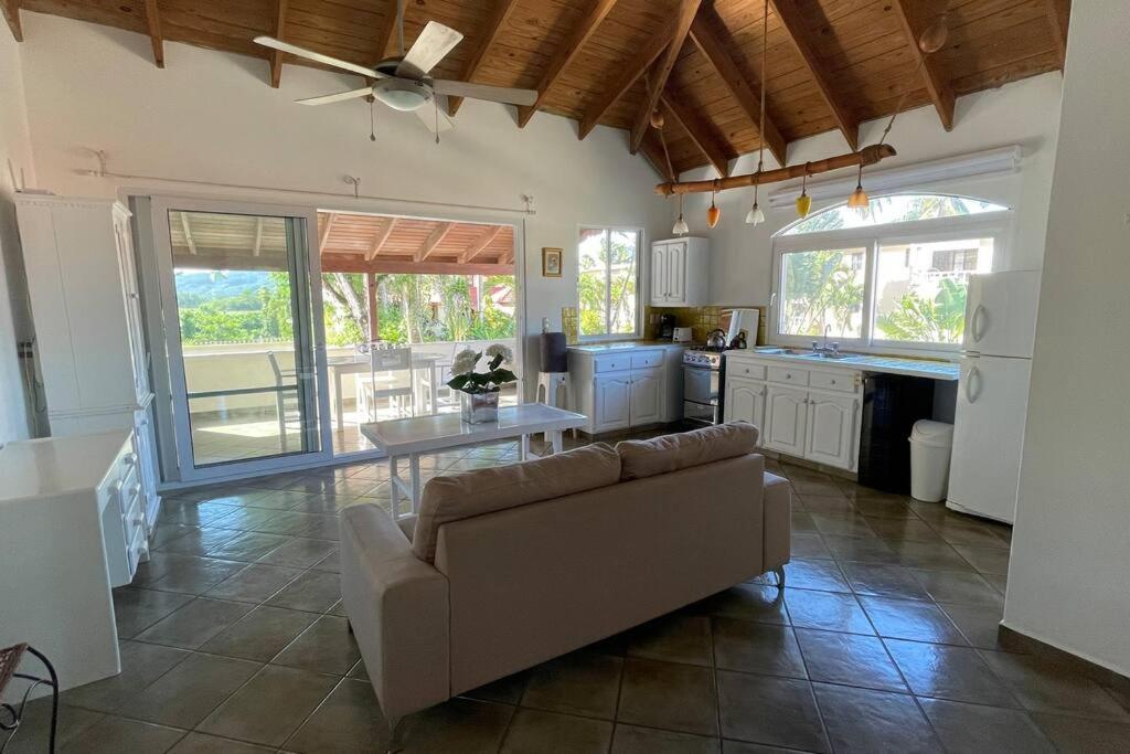 Cabarete Beach Apartment