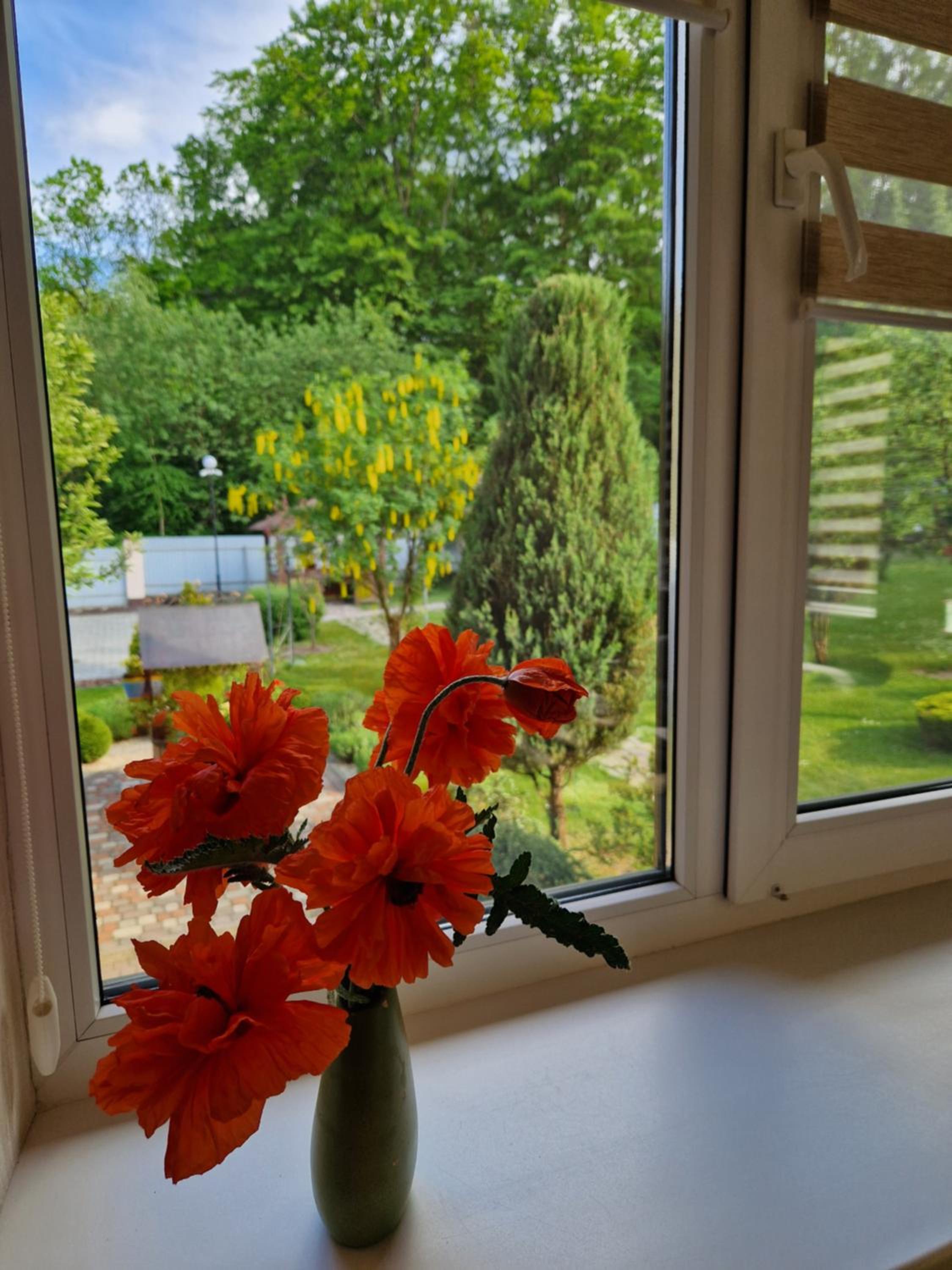 Villa ZENKO view 4