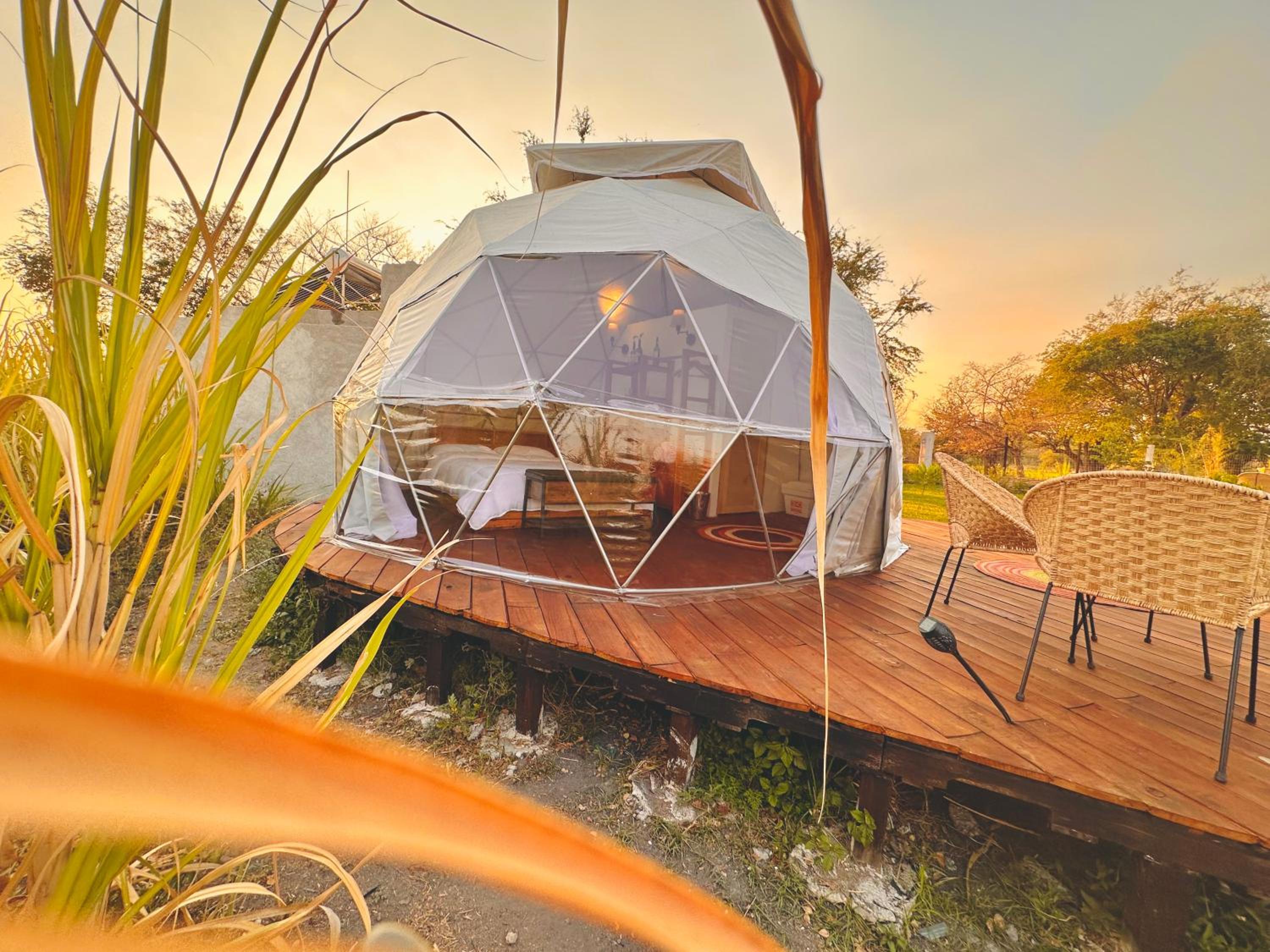 Glamping Xochitepec, photo 16