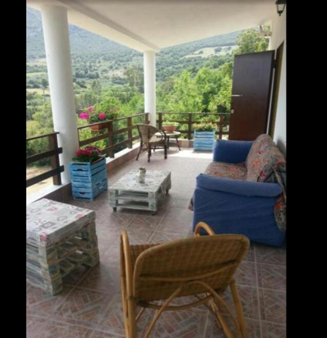 Panoramic House