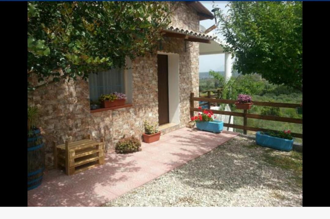 Panoramic House