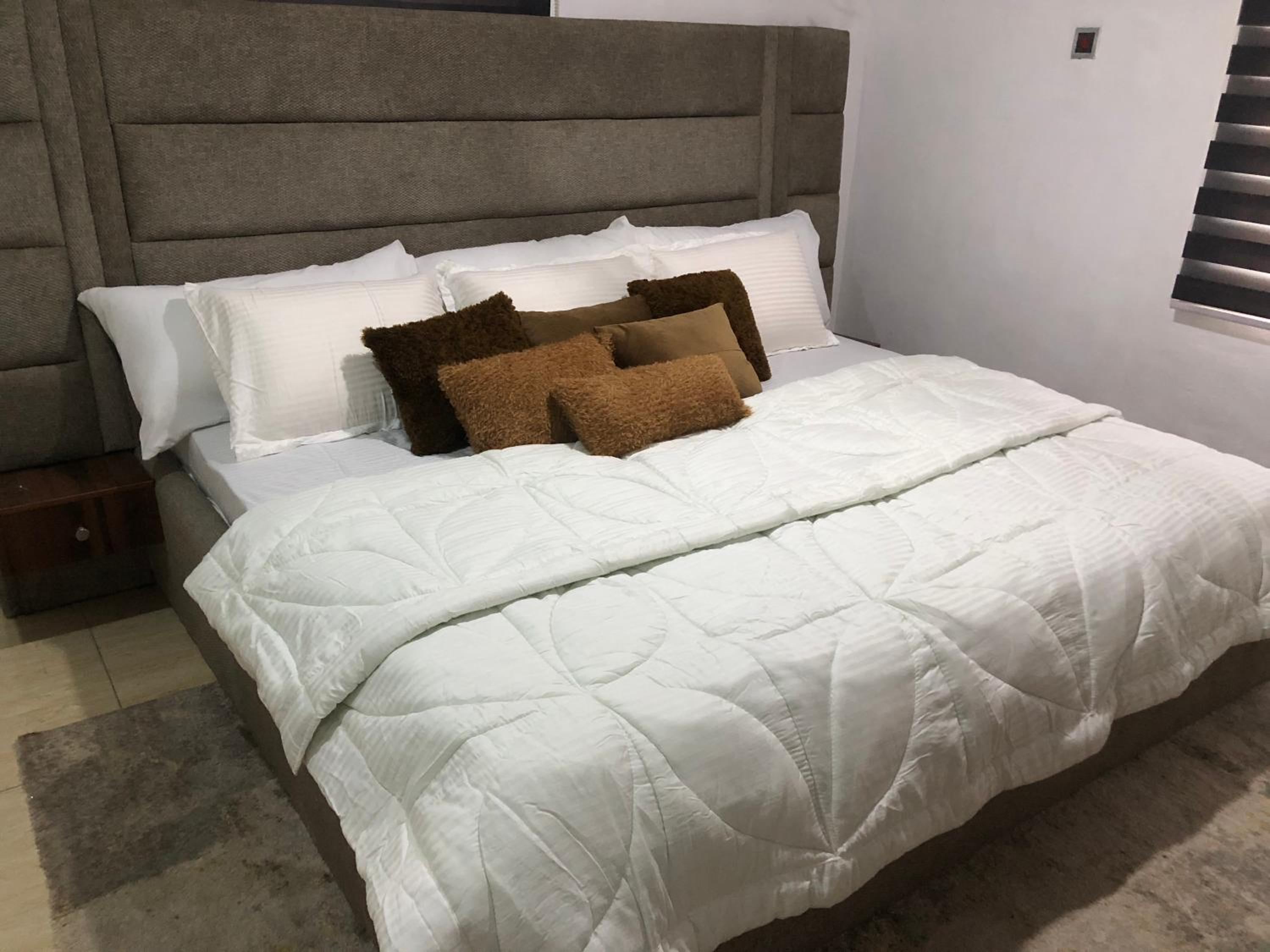 Exquisite and Cozy 3-bedroom Apt with hot-tub, WiFi, DSTV, and Inverter Power Backup view 5
