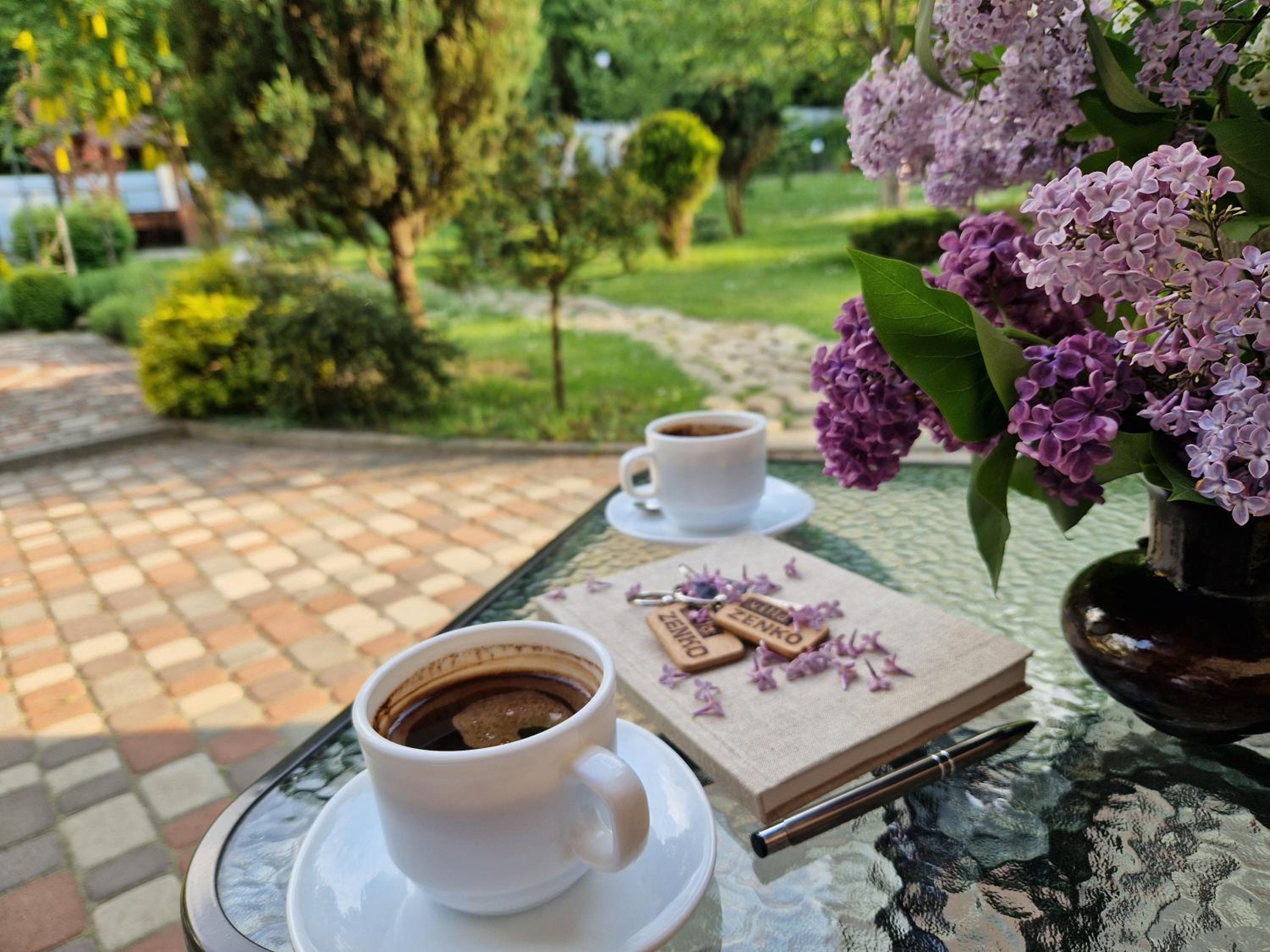 Villa ZENKO view 2