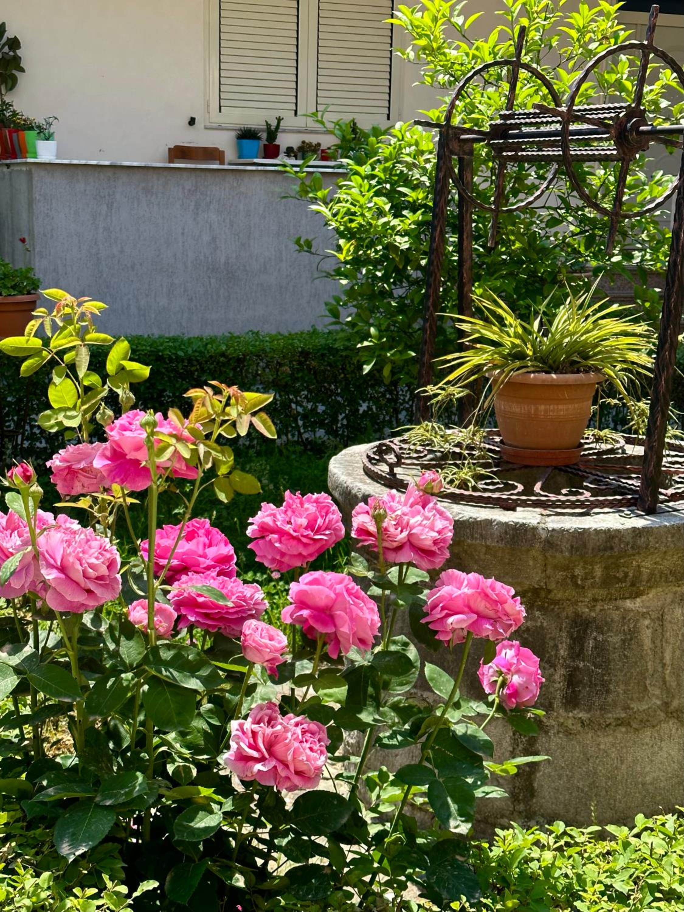 Js House Shkoder 1