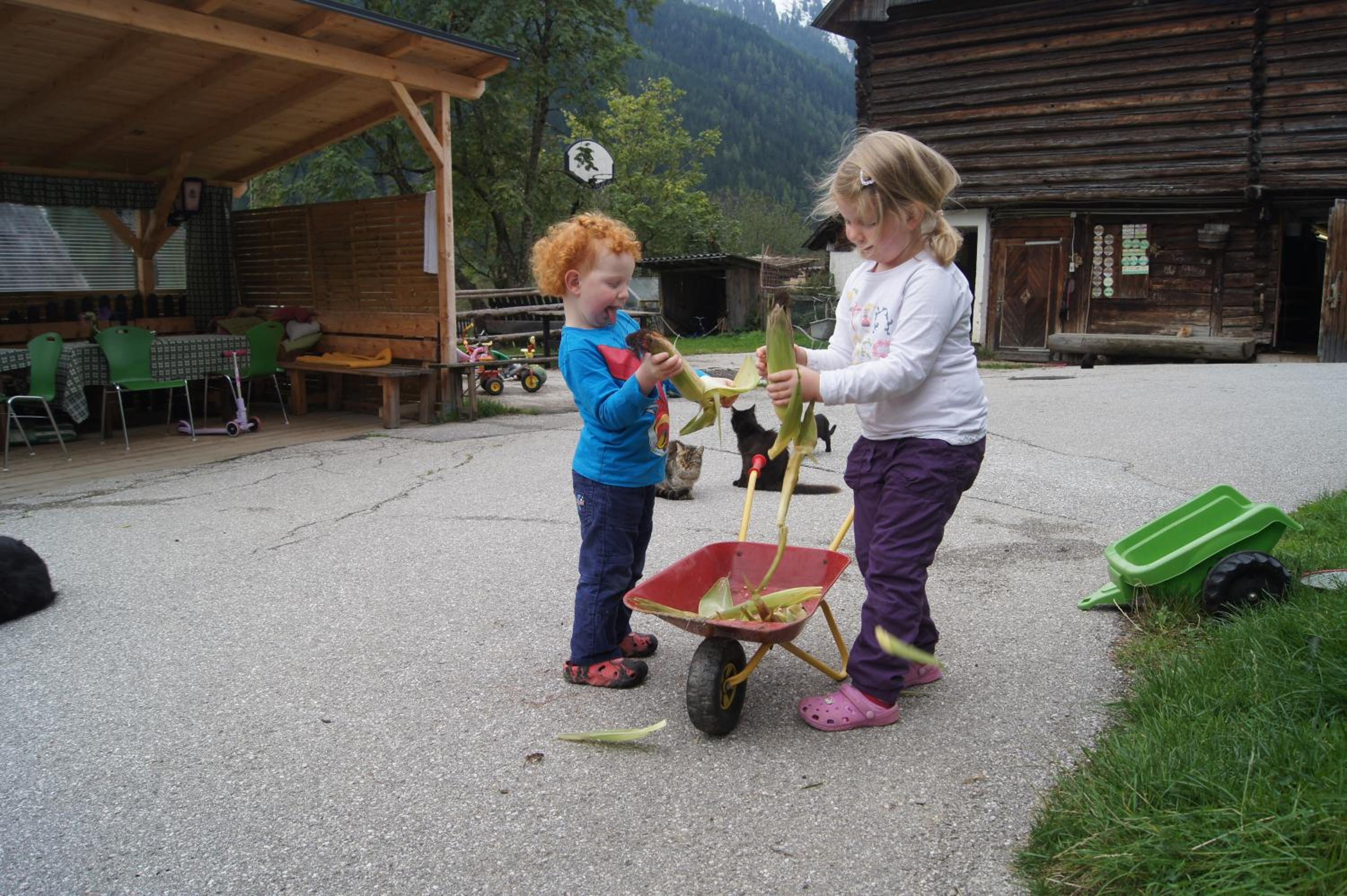 Der Perweinhof