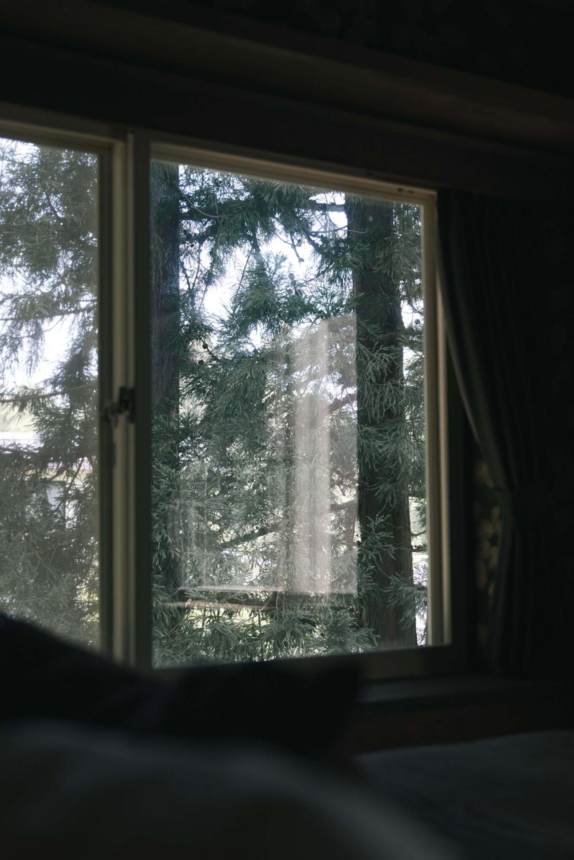 Mountain Hut Myoko