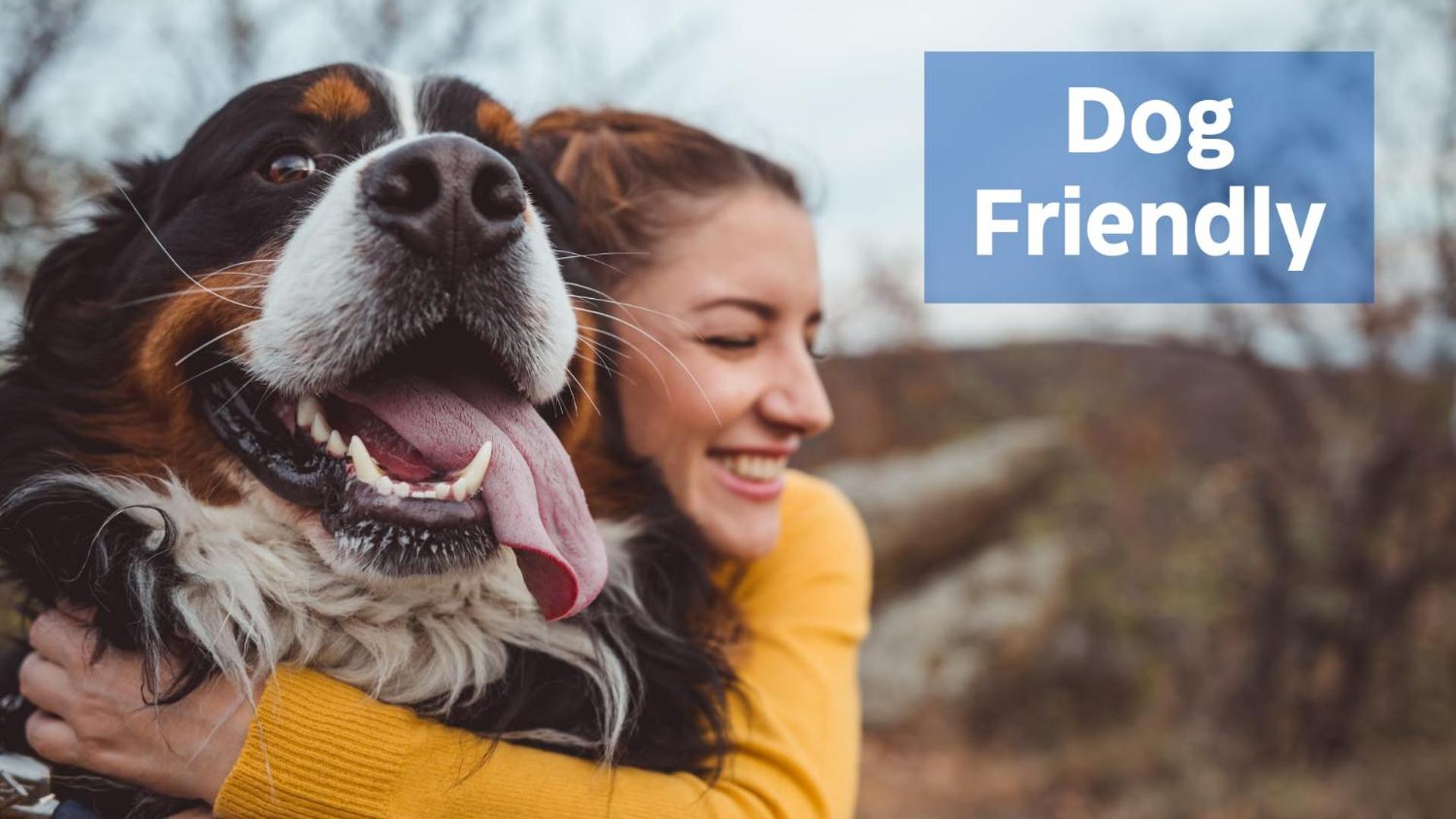 3BR cabin w hot tub & game room