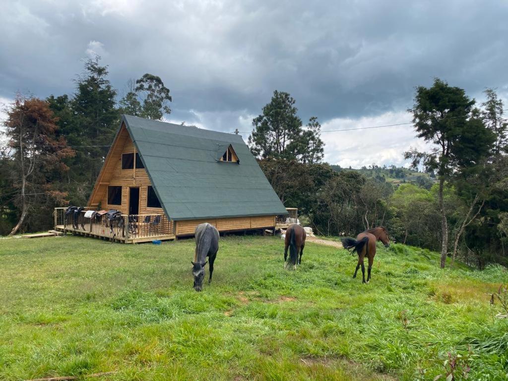 chalets A-MAR By la malcriada