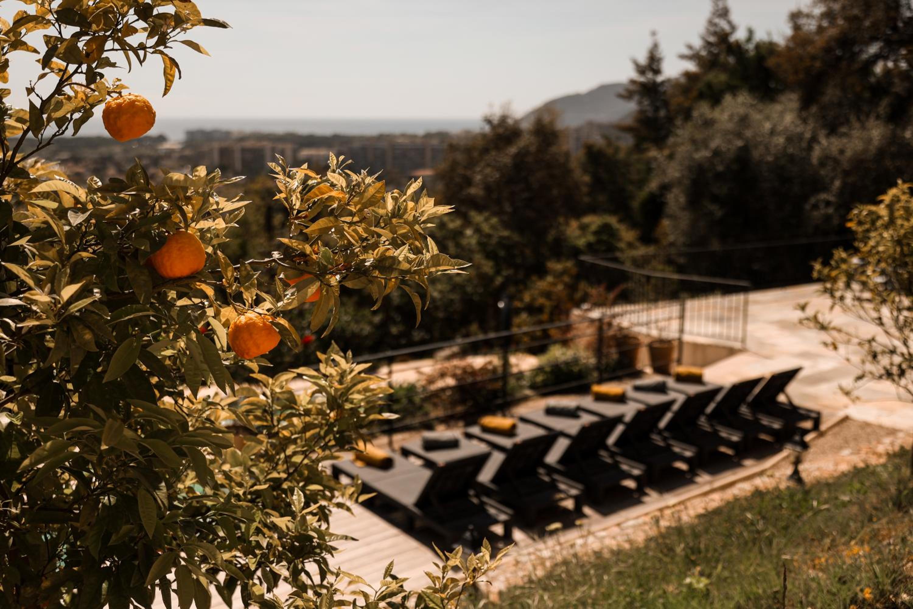 Villa Les Roches — photo 4