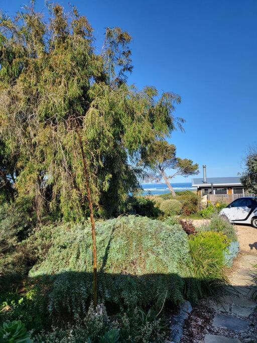 The Dunes - King Studio - 50m from Scamander Beach