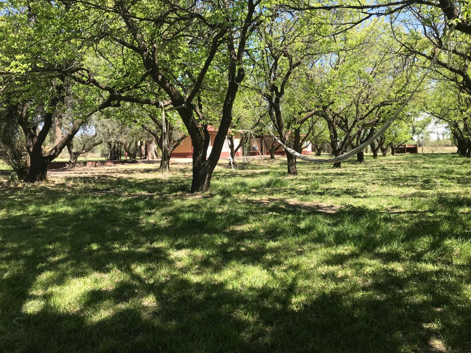 BOSQUE ENCANTADO EN SAN RAFAEL MENDOZA Cabañas hasta 5 personas