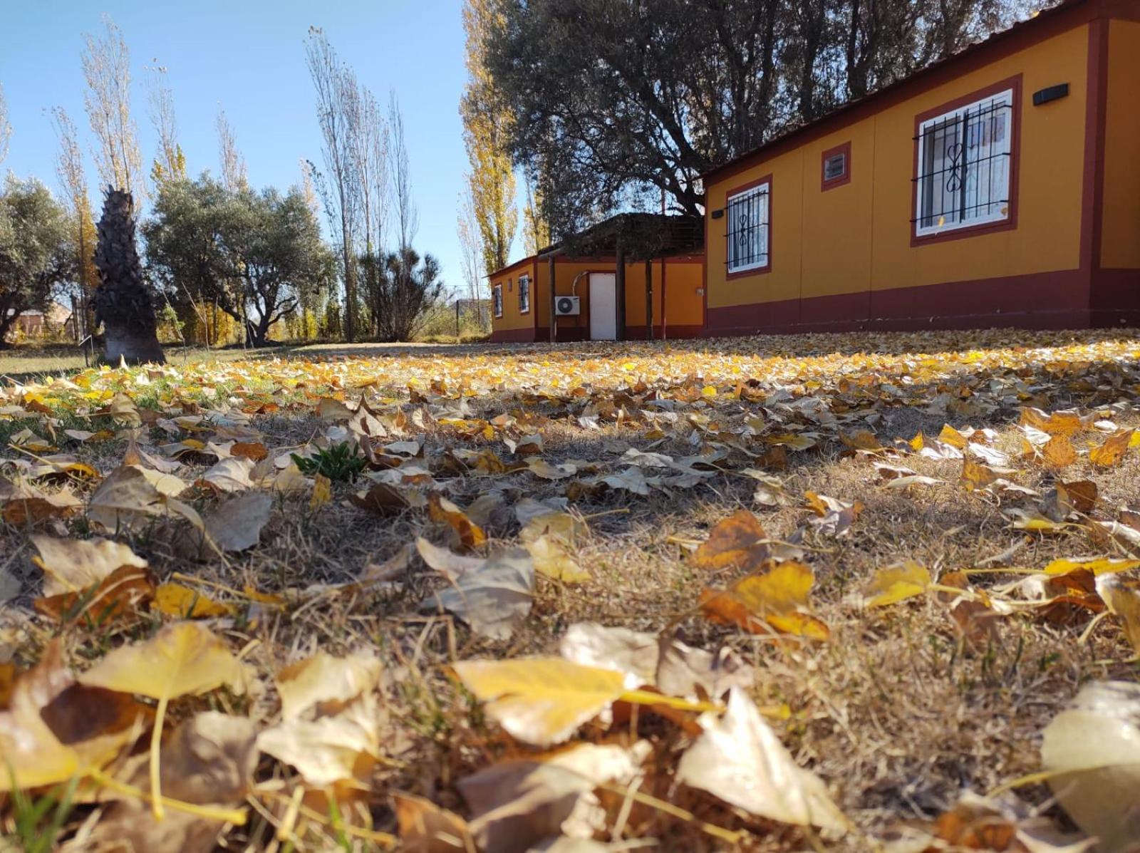 BOSQUE ENCANTADO EN SAN RAFAEL MENDOZA Cabañas hasta 5 personas