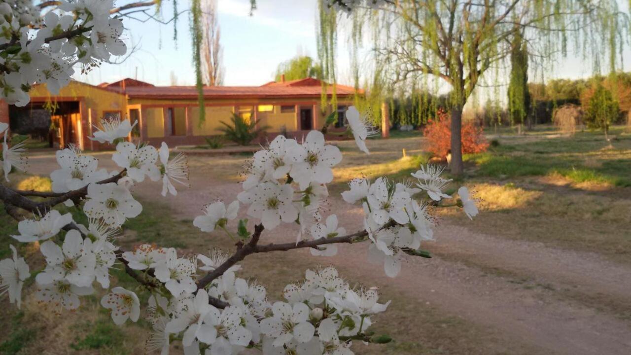 BOSQUE ENCANTADO EN SAN RAFAEL MENDOZA Cabañas hasta 5 personas