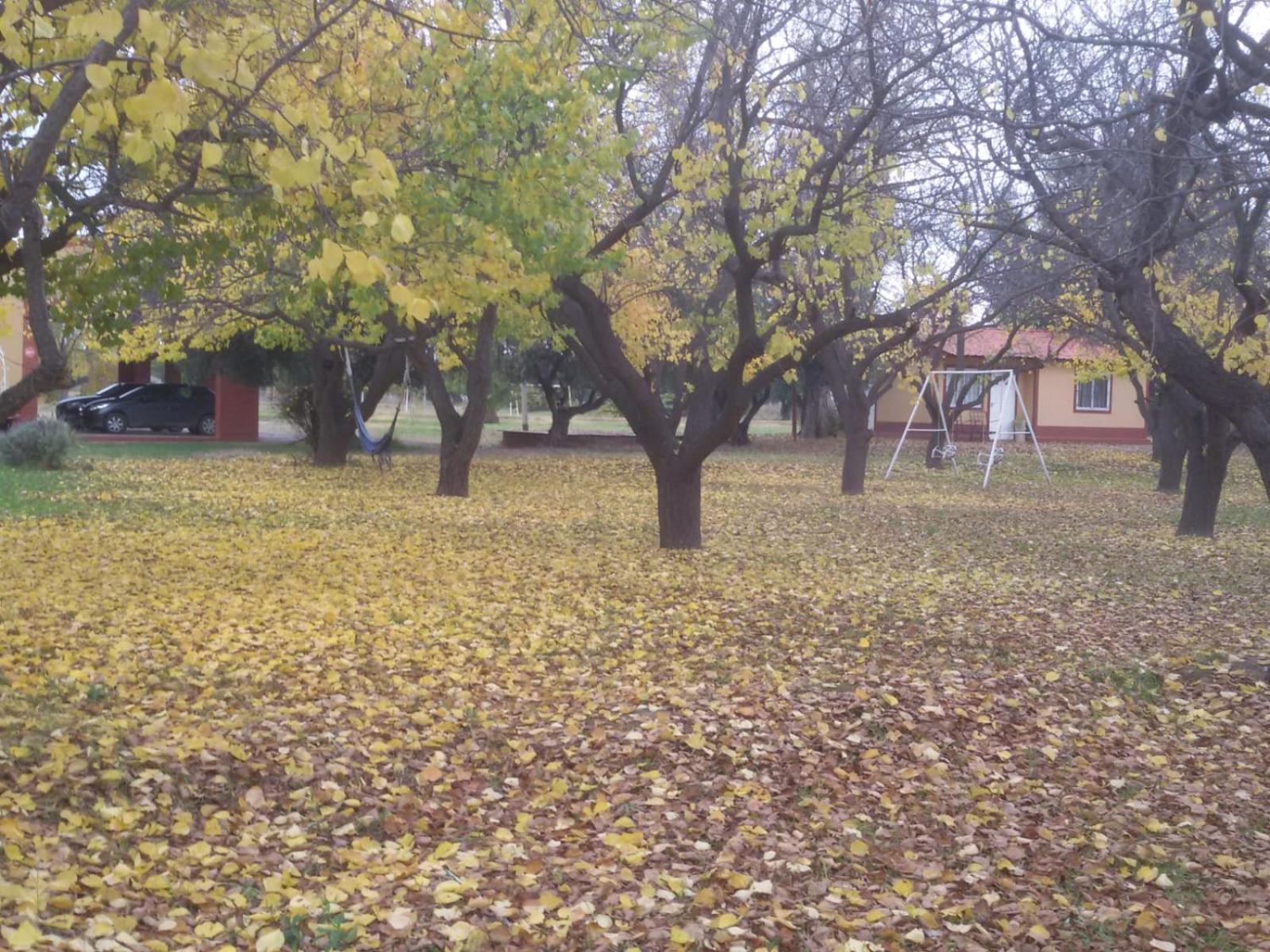 BOSQUE ENCANTADO EN SAN RAFAEL MENDOZA Cabañas hasta 5 personas