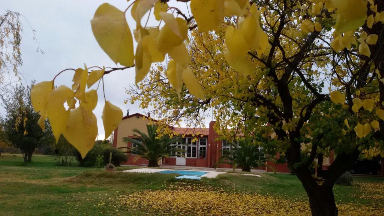 BOSQUE ENCANTADO EN SAN RAFAEL MENDOZA Cabañas hasta 5 personas