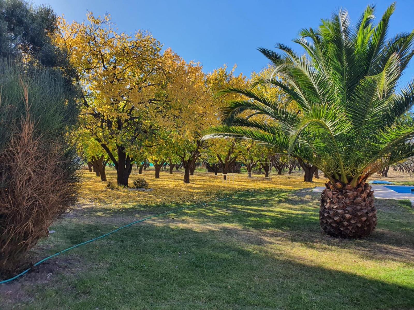 BOSQUE ENCANTADO EN SAN RAFAEL MENDOZA Cabañas hasta 5 personas