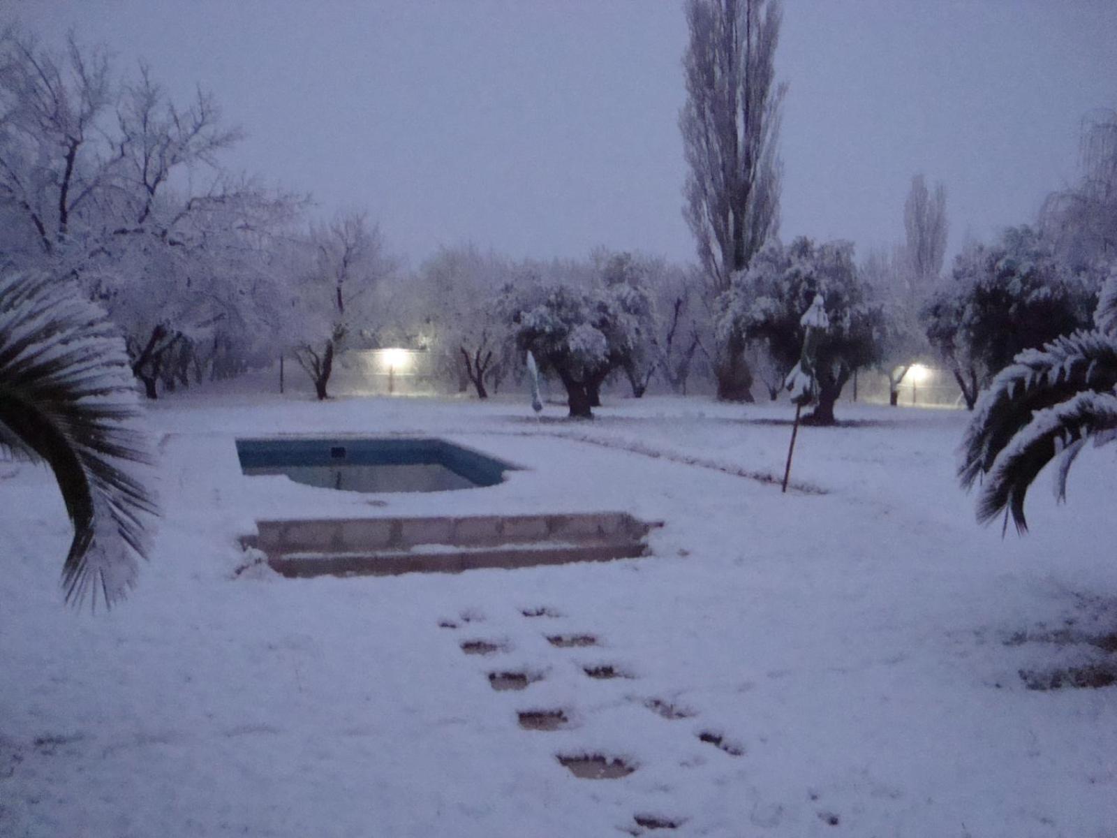 BOSQUE ENCANTADO EN SAN RAFAEL MENDOZA Cabañas hasta 5 personas