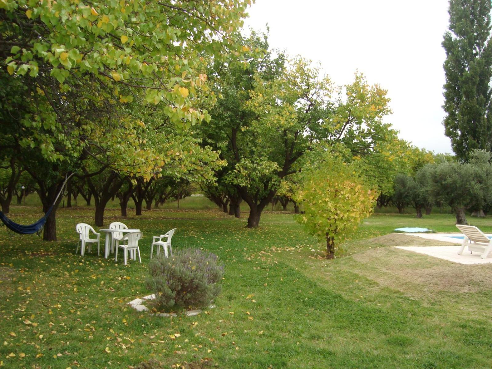BOSQUE ENCANTADO EN SAN RAFAEL MENDOZA Cabañas hasta 5 personas