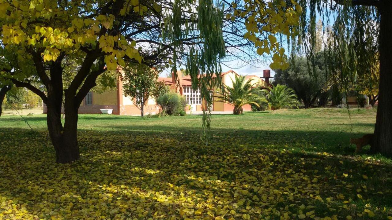 BOSQUE ENCANTADO EN SAN RAFAEL MENDOZA Cabañas hasta 5 personas