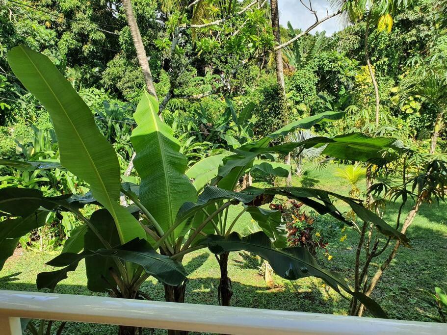 PAVILLON TROPICAL