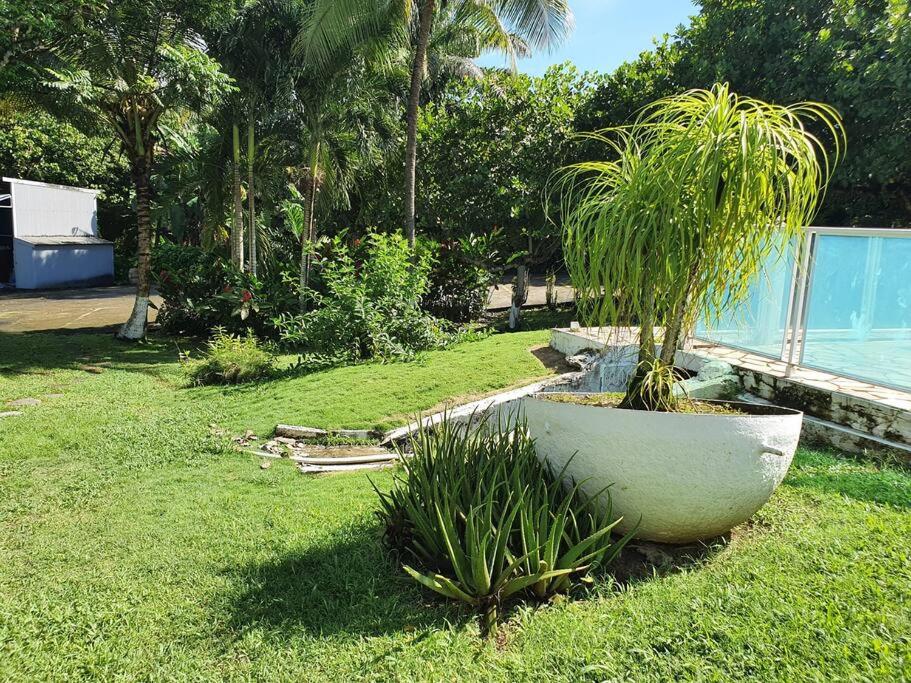 PAVILLON TROPICAL