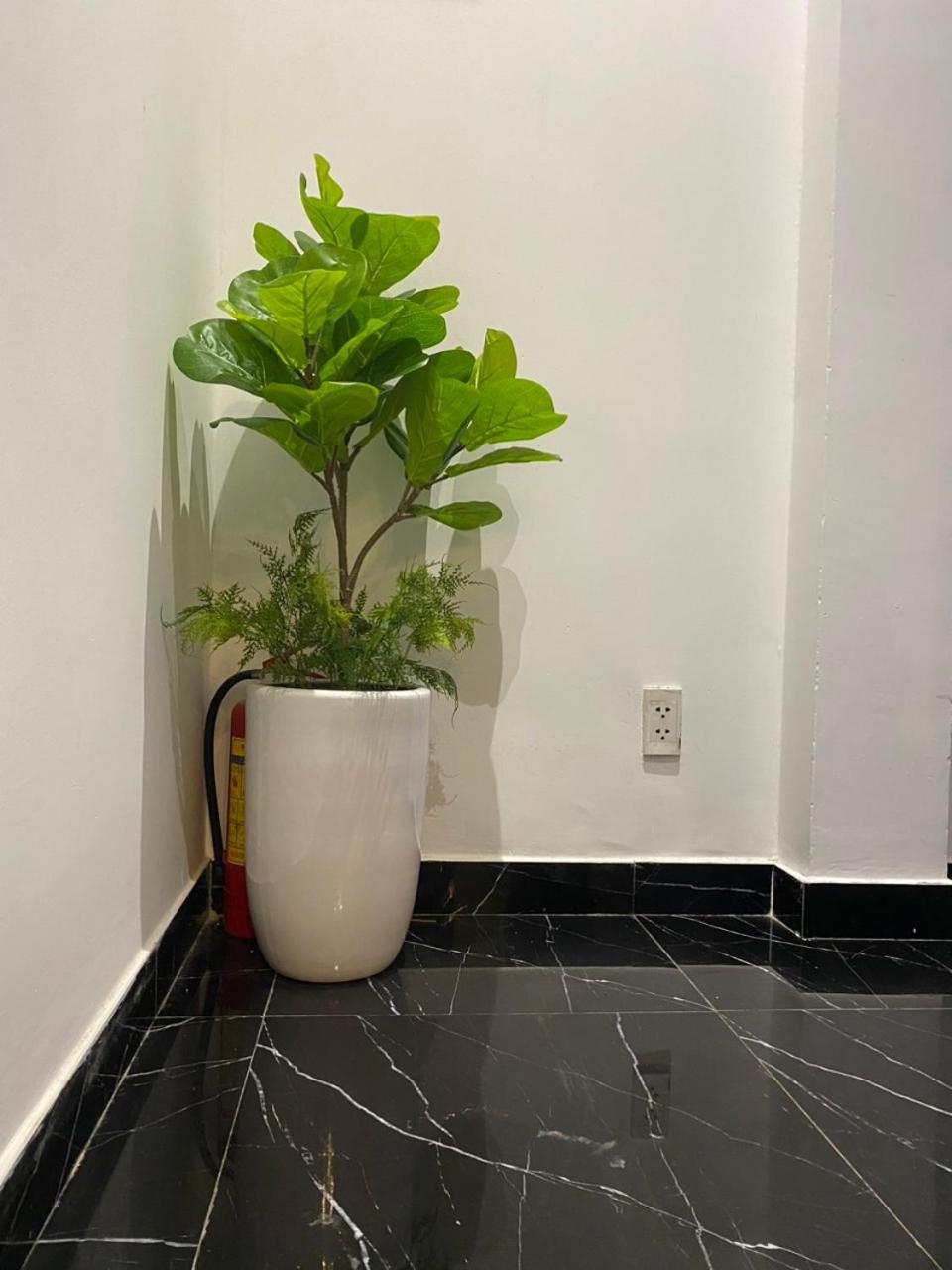 HOMSTAY 1106 QUANG TRUNG