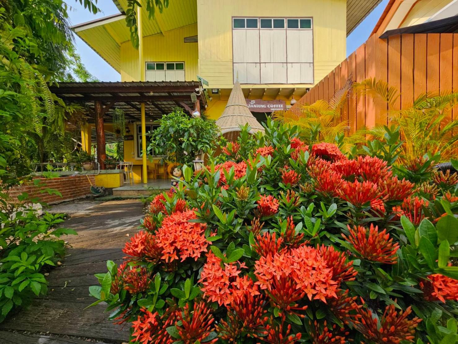 SuanTung Coffee & Guesthouse view 2
