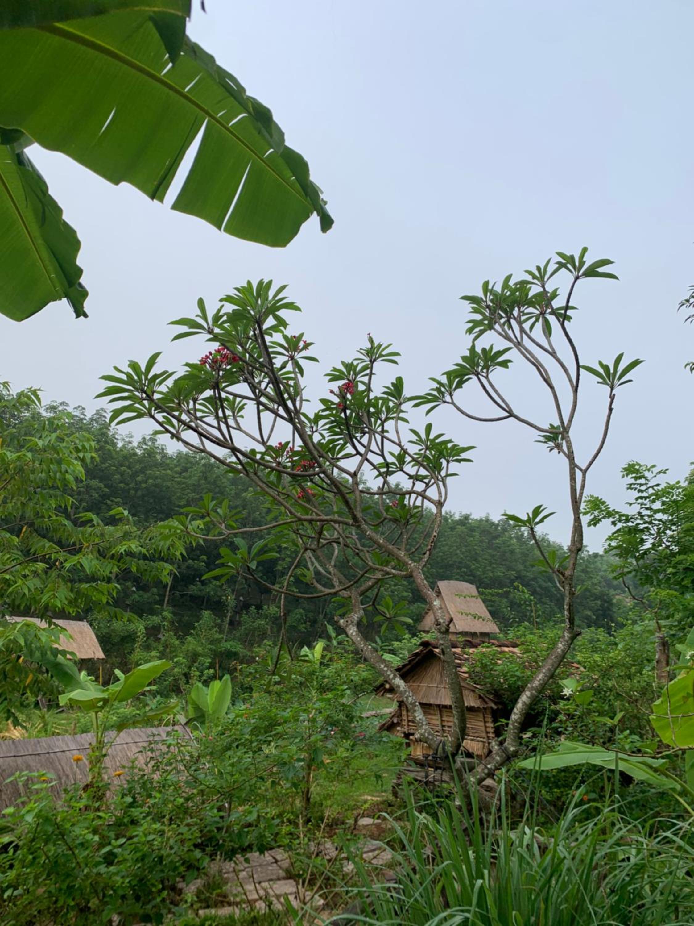Photo 48