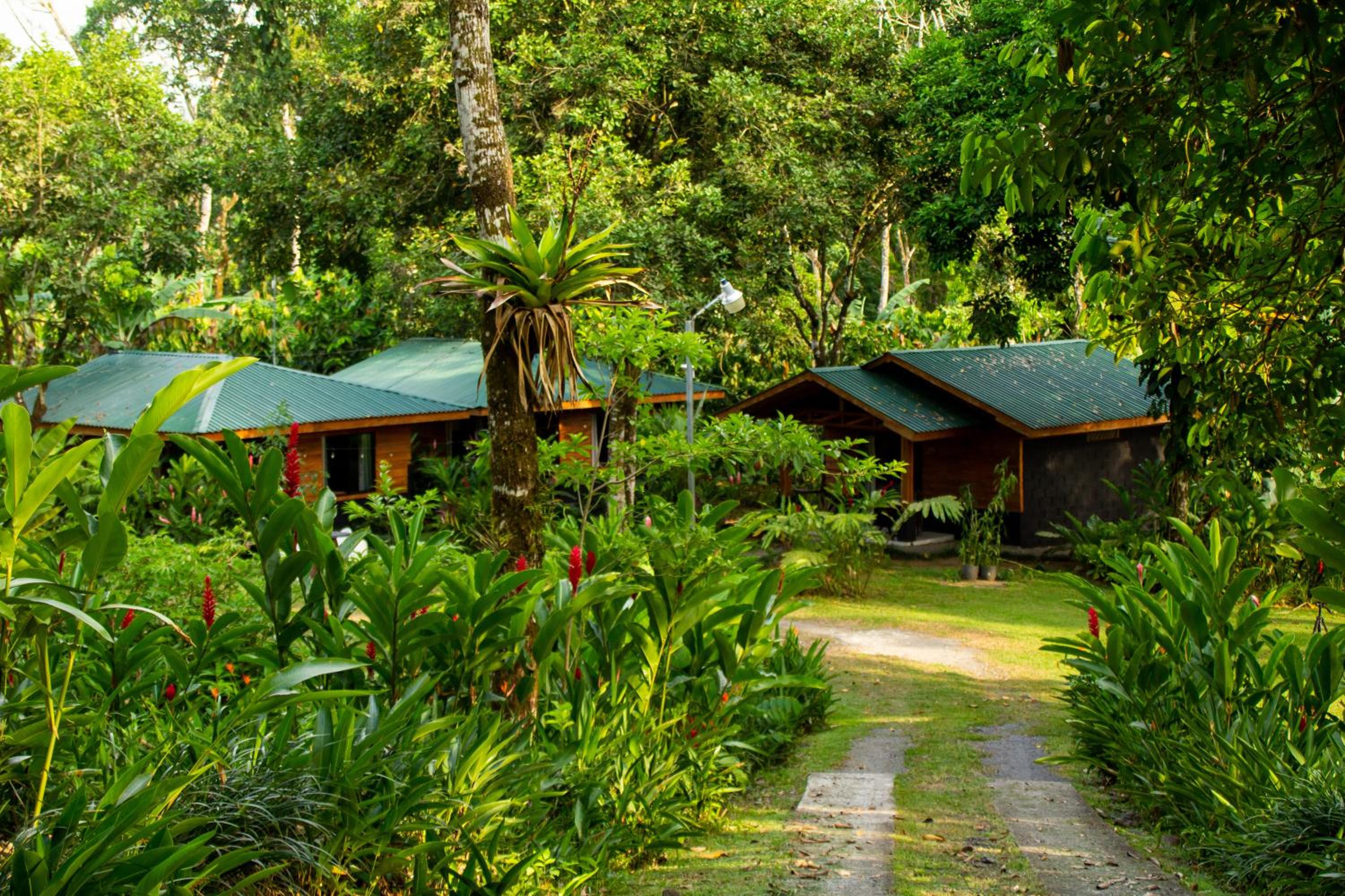 Hotel Eden Organic Farm & Bungalows