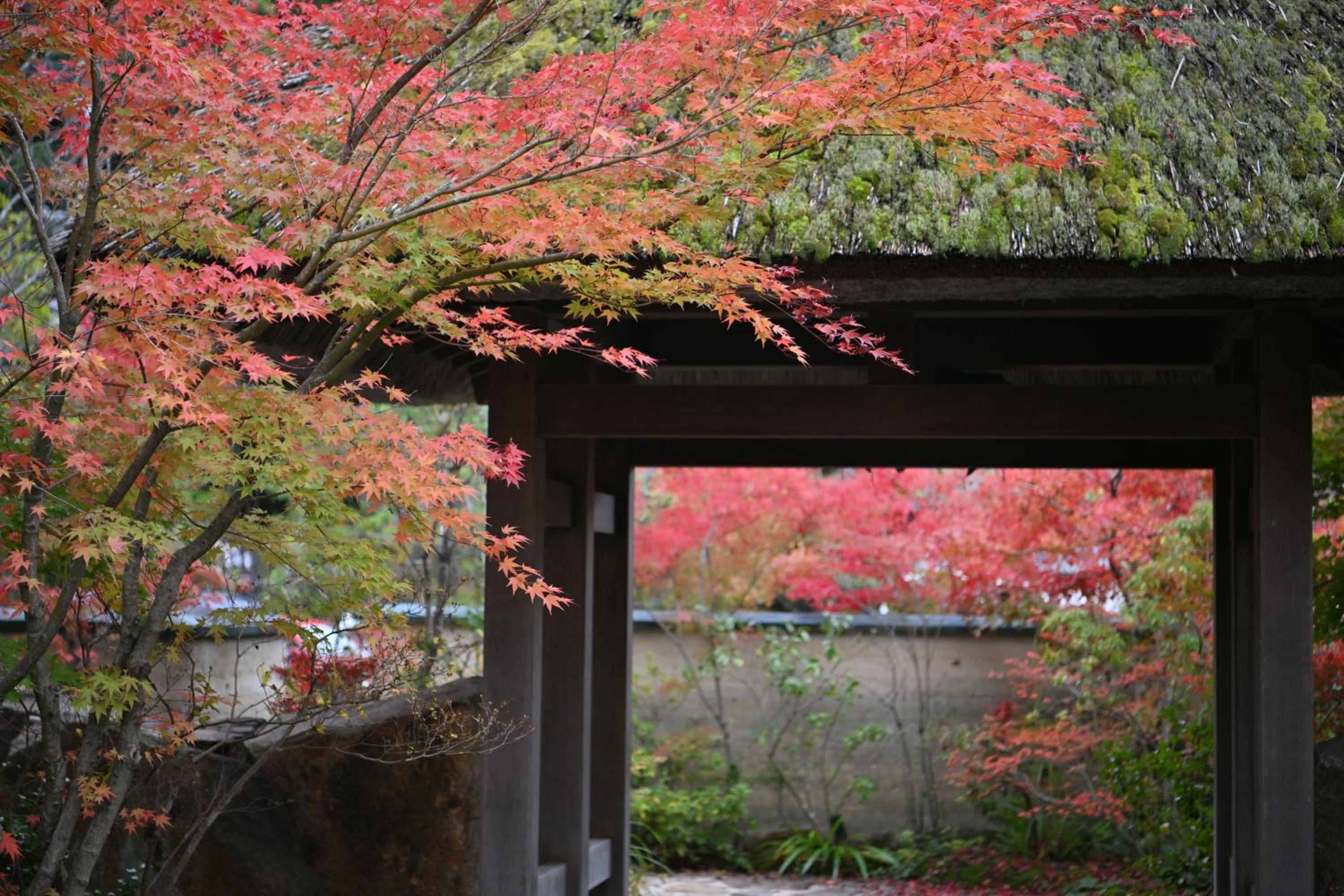 Ryokan Sumiya Kihoan