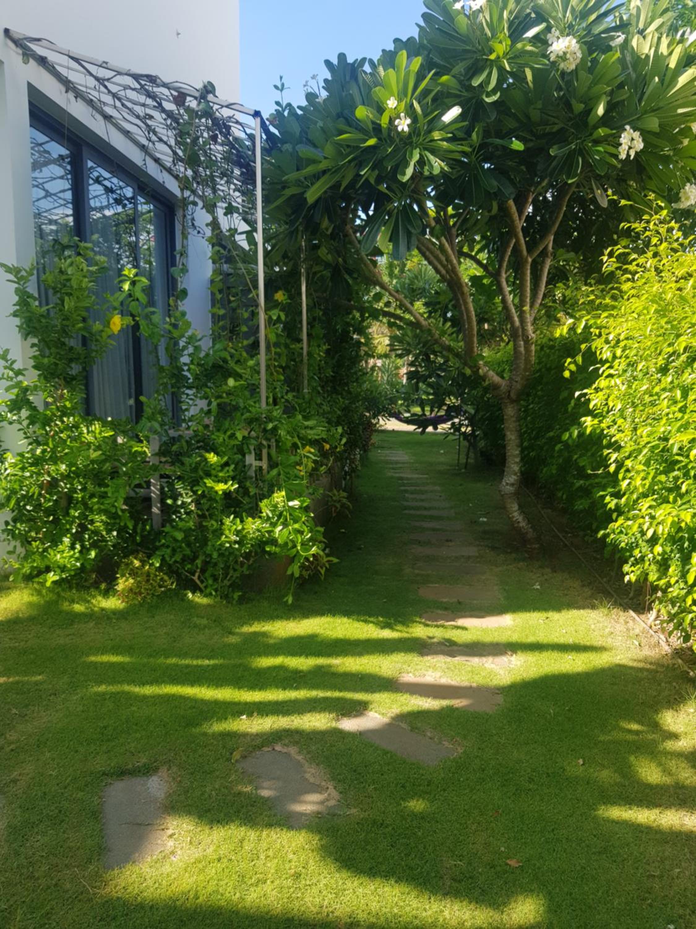 Photo 43