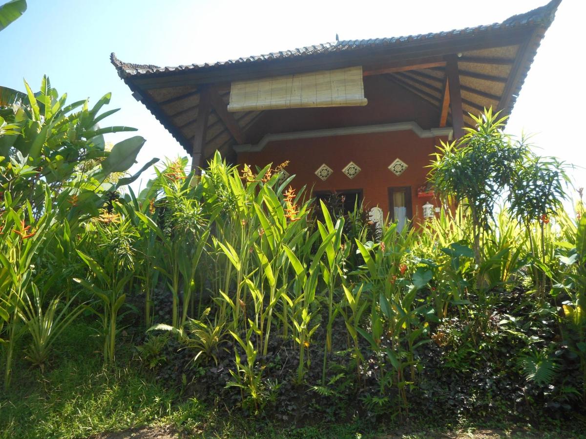 Photo 28