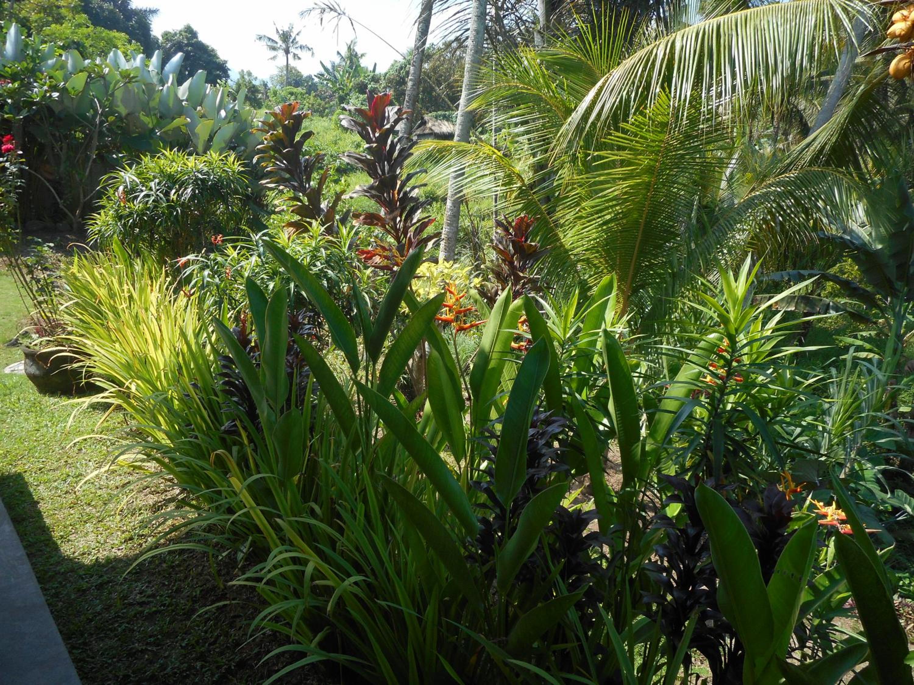 Cegeng Lestari Guesthouse view 2
