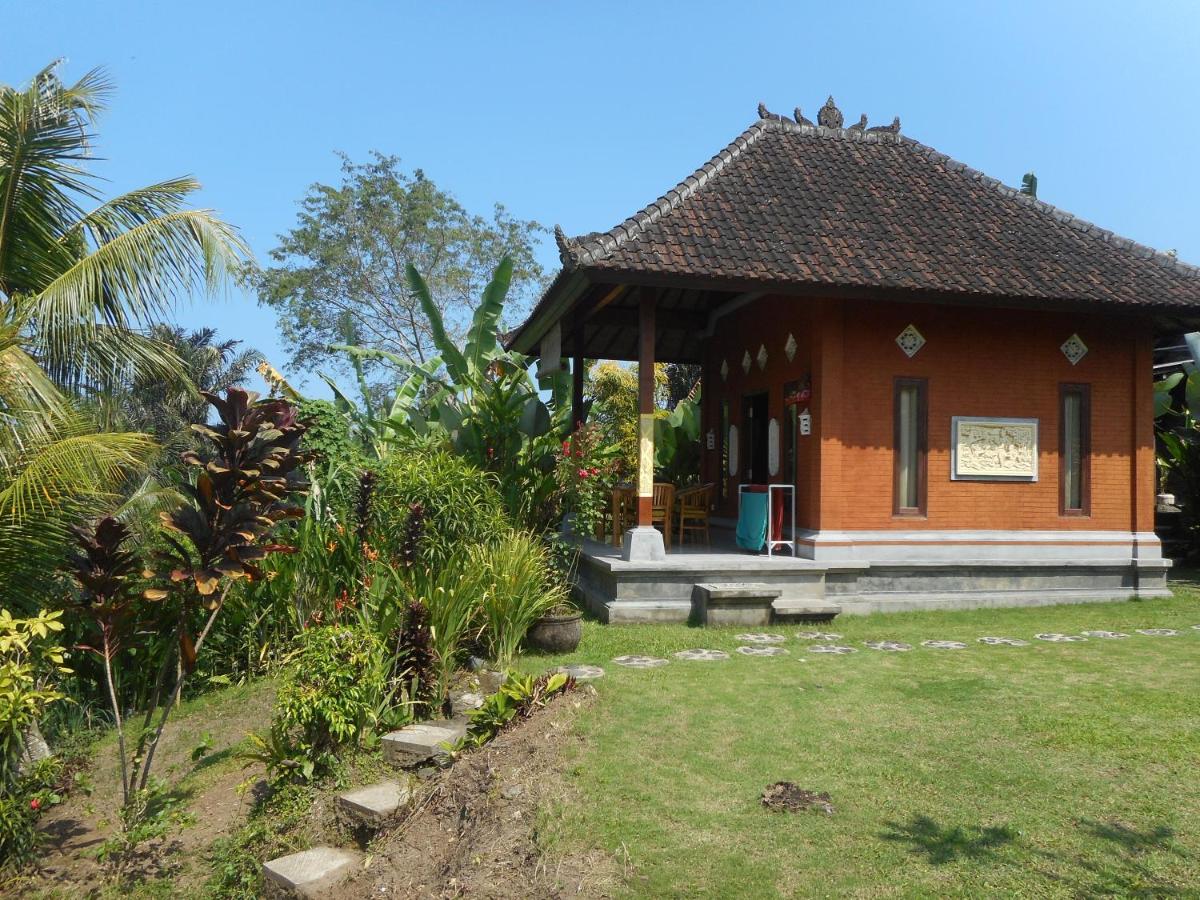 Photo 19