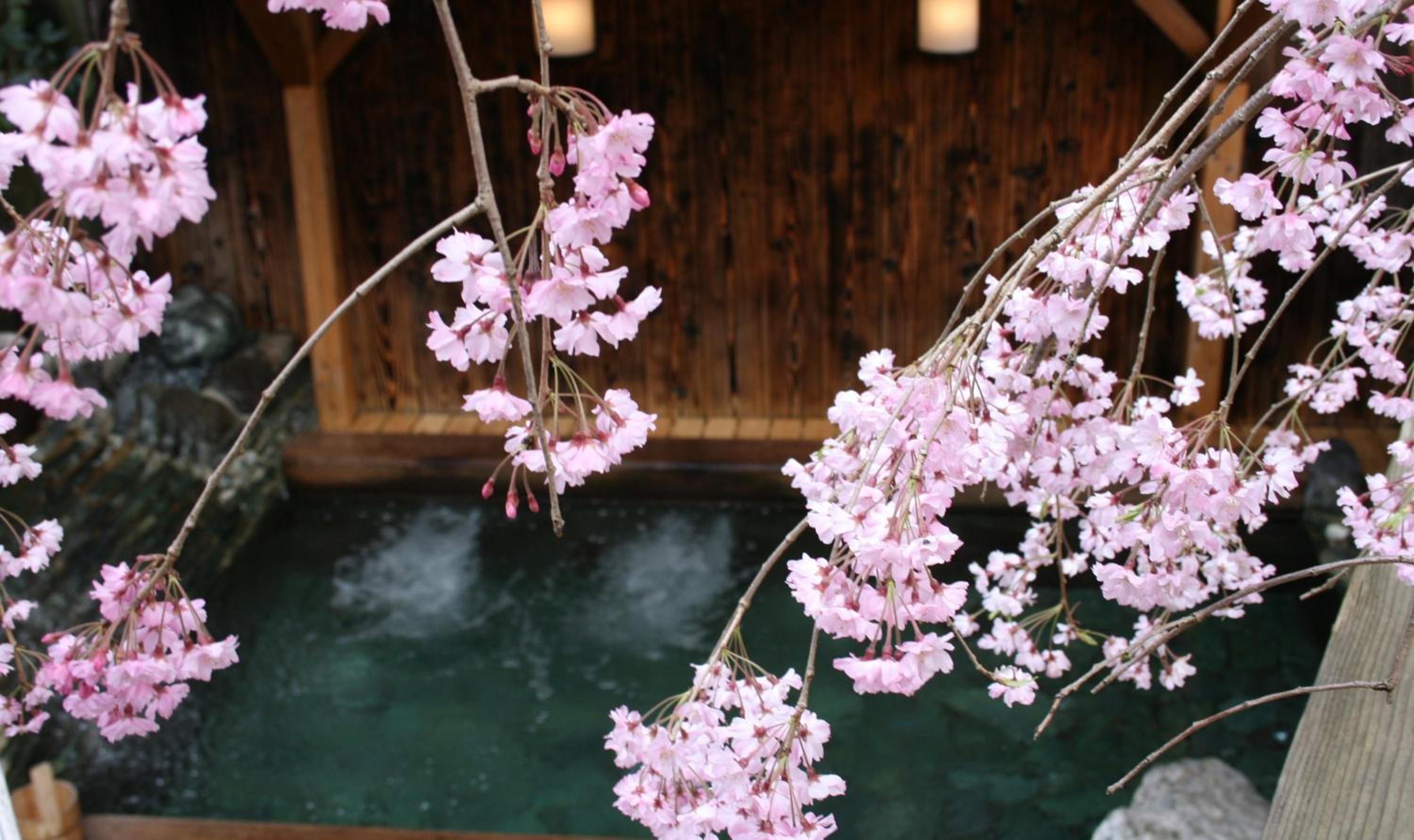 Ryokan Sumiya Kihoan