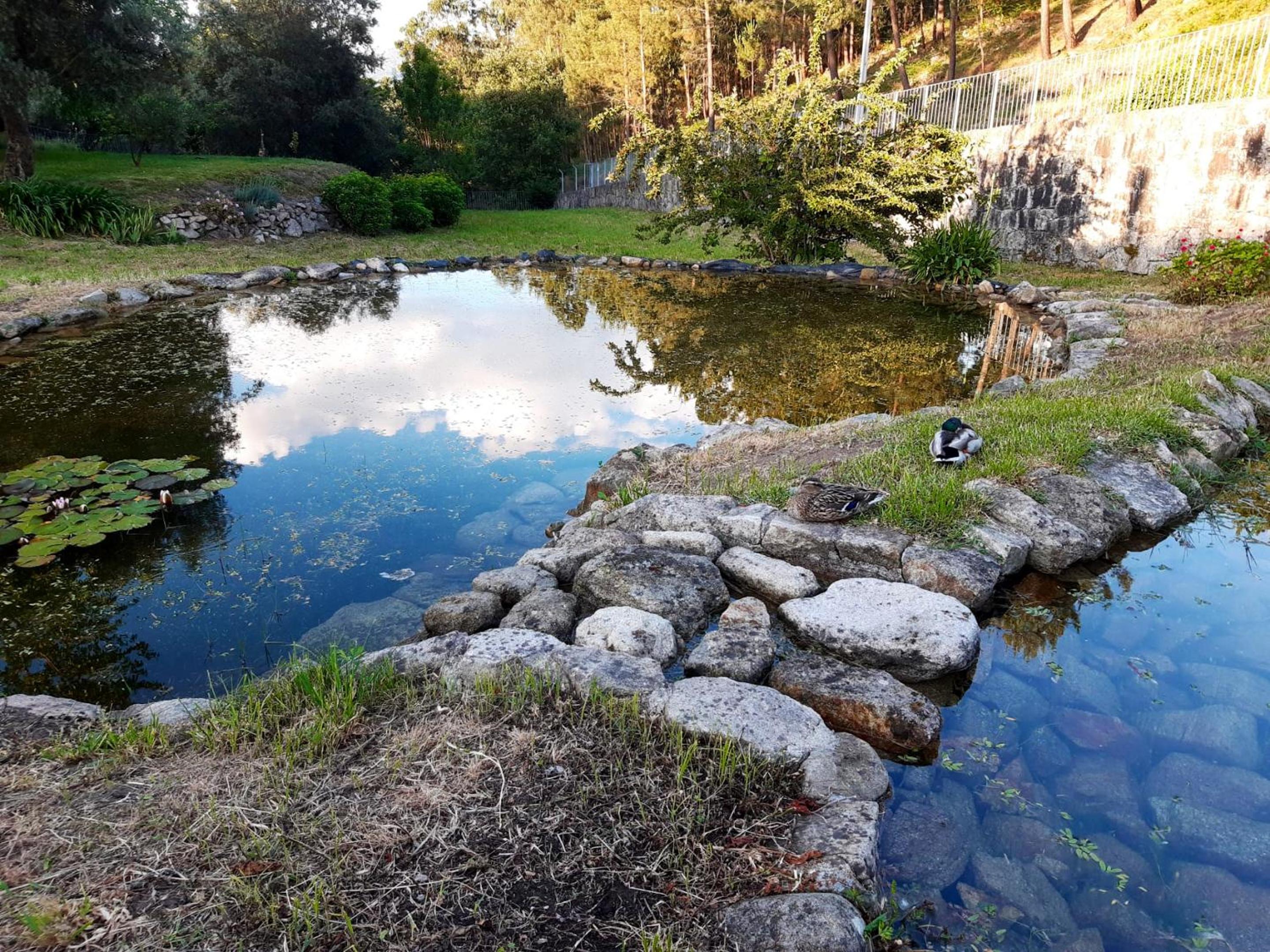 Charming house in Povoa de Lanhoso with shared pool