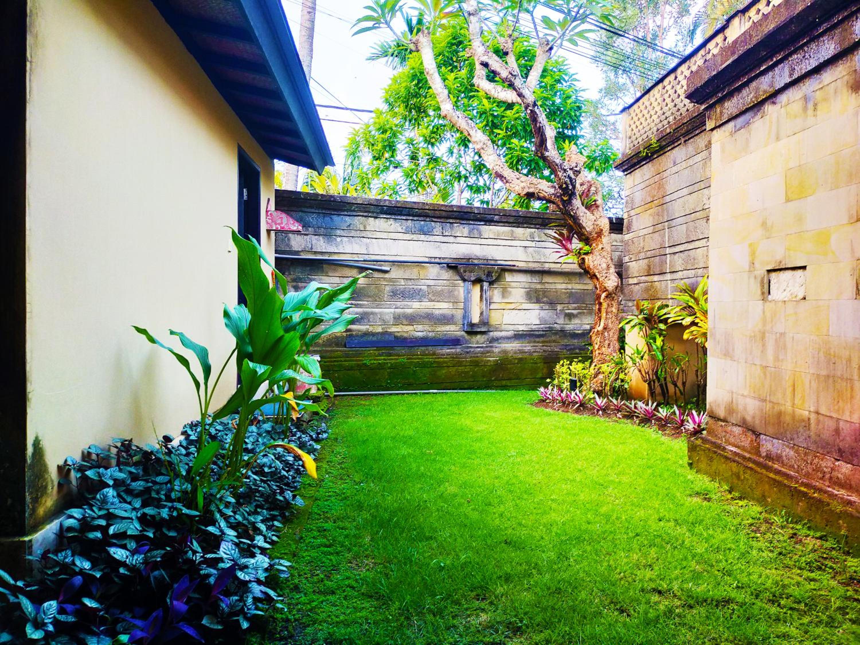 3BR Beautiful Villa Queen With Stunning Rice Field view 5
