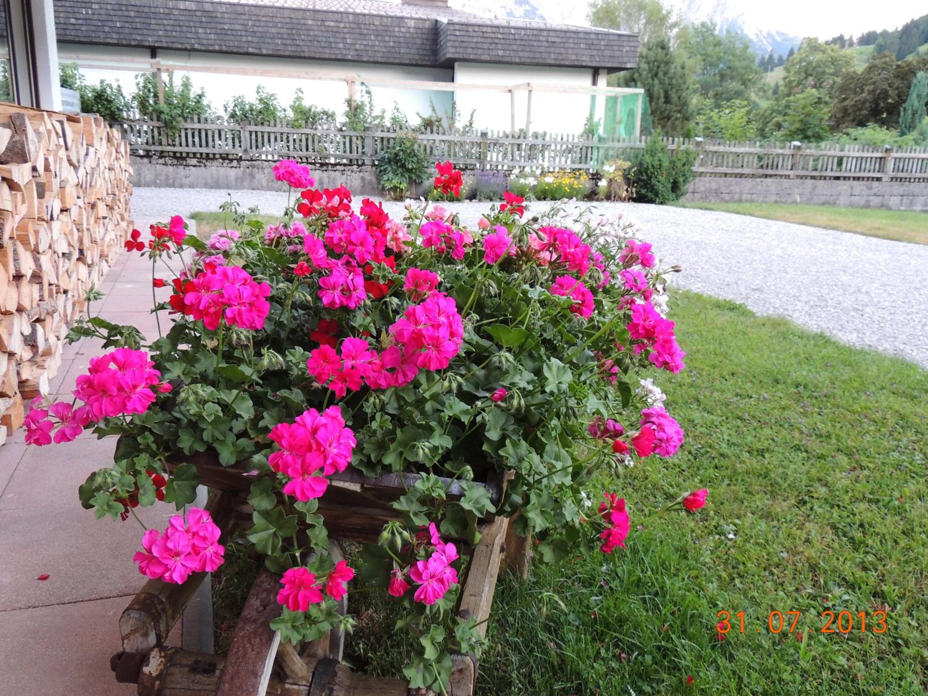 Photo 37