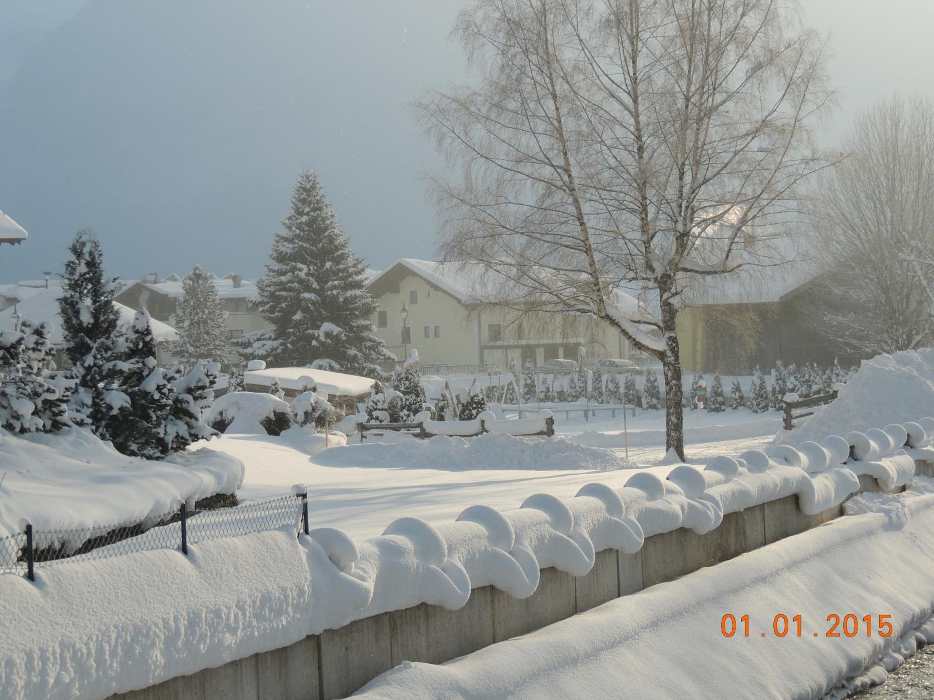 Photo 40