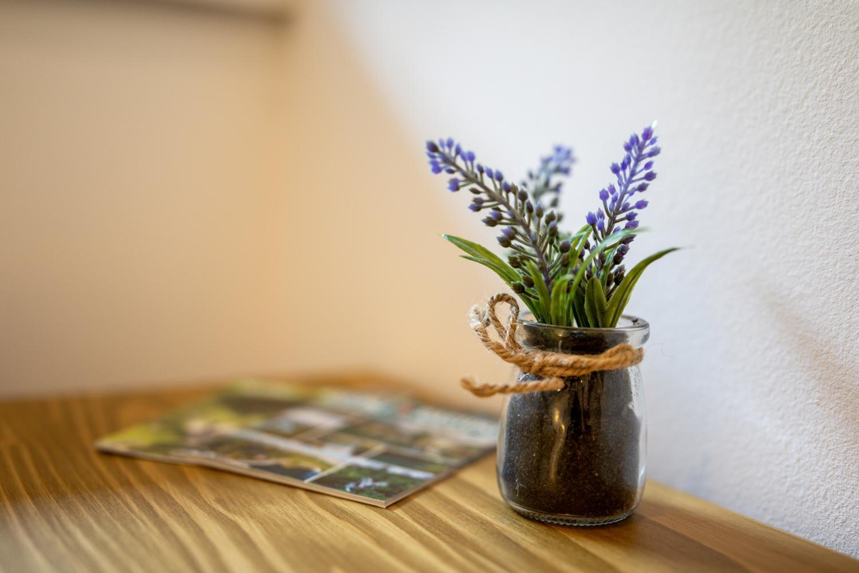 Apartman Medved