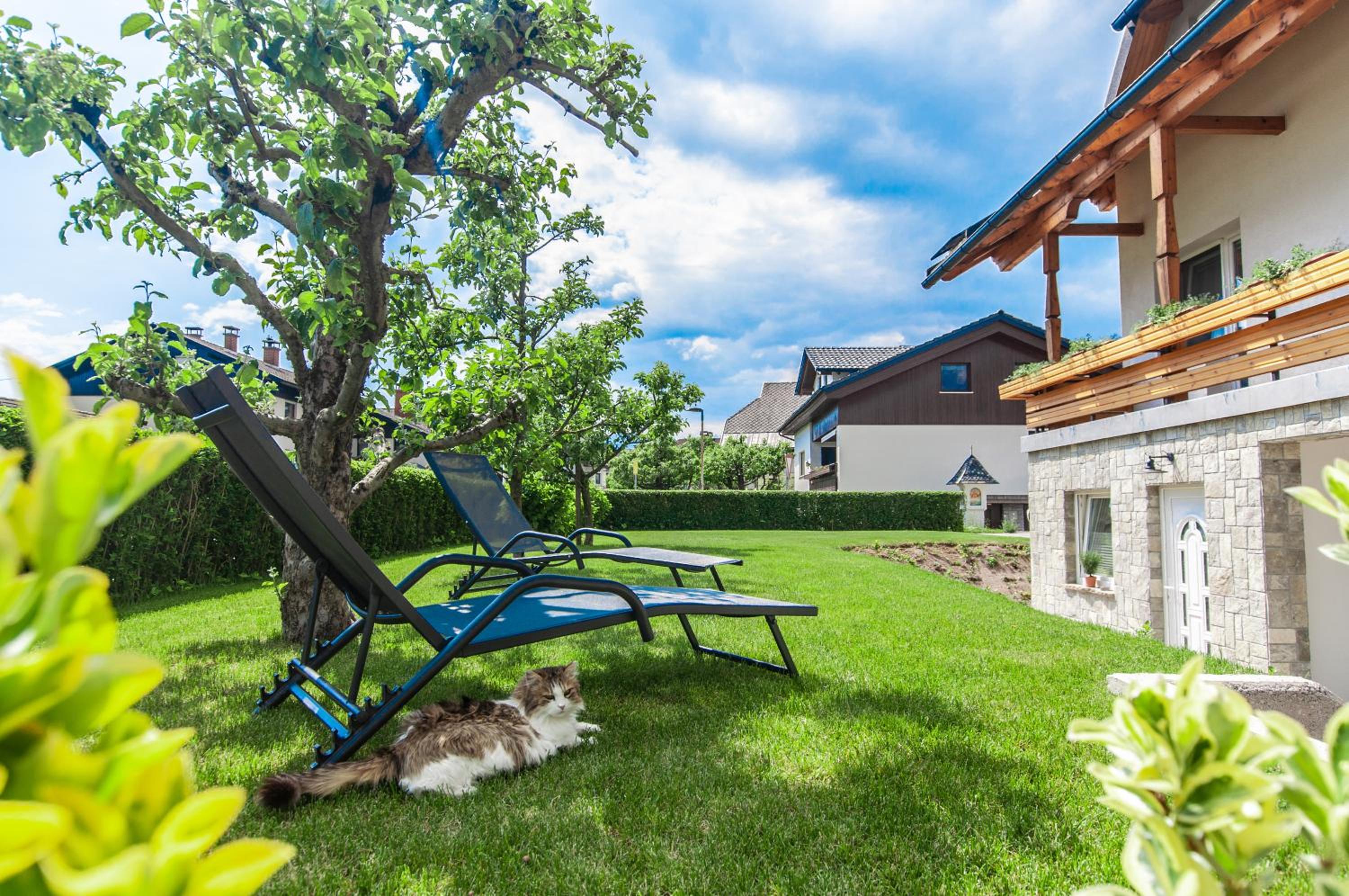 Apartments Ursus